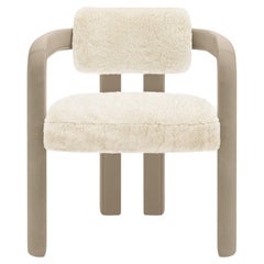 Dining Room Chairs
