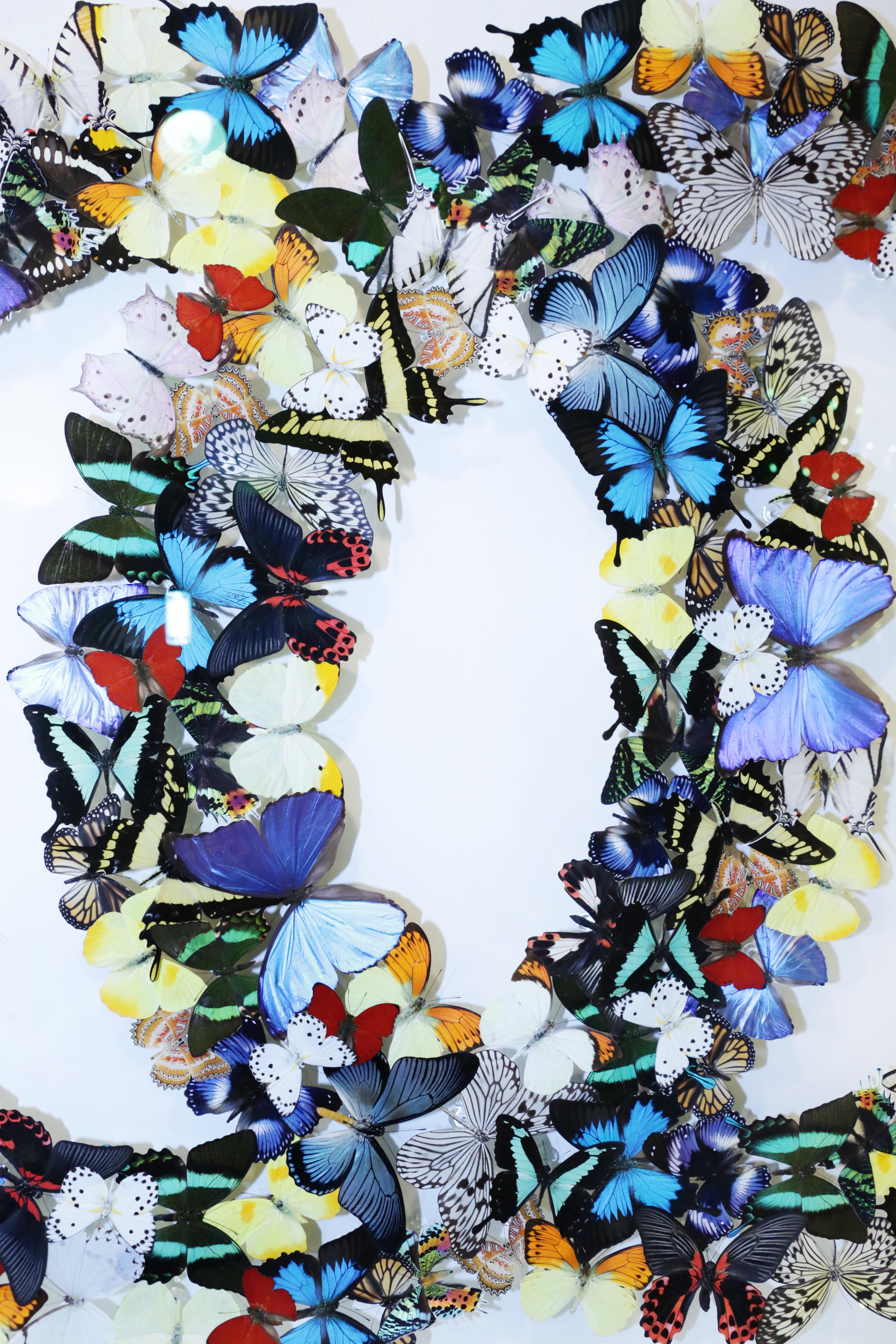 Double boîte à papillons en verre de Chanel Décoration murale Neuf - En vente à Paris, FR