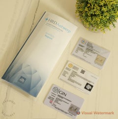 Double Halo Natural Solitaire Diamond Earrings in 14K Solid Gold (Certified)