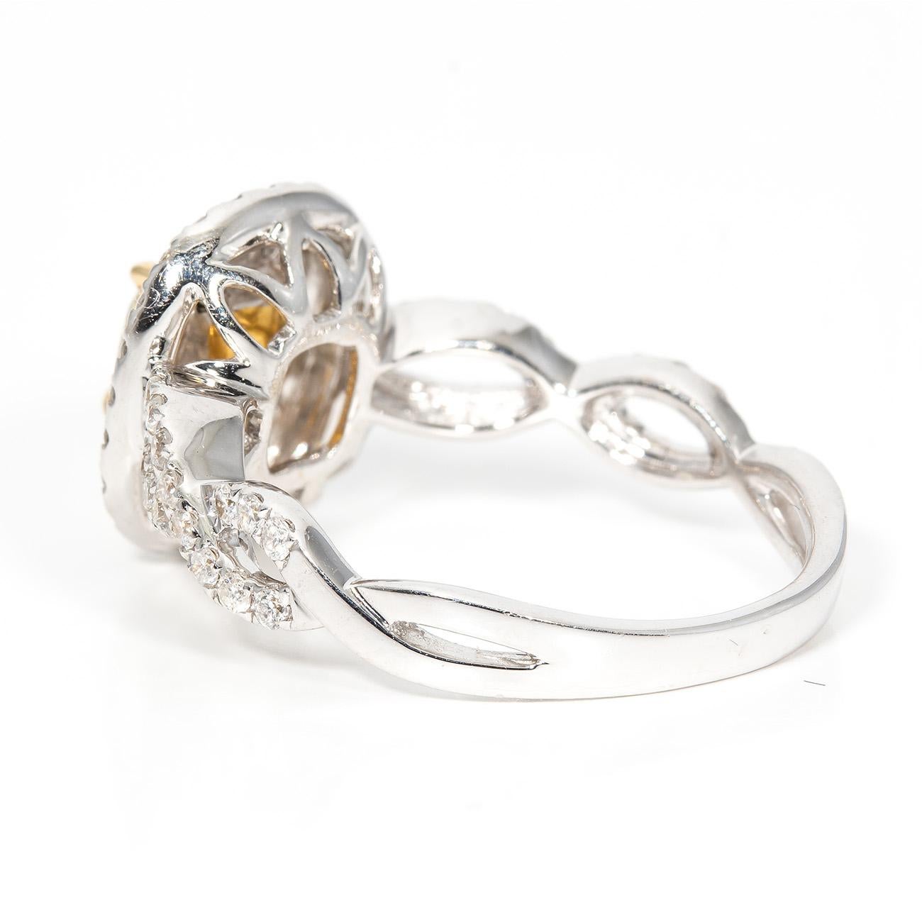 Double halo split shank ring in 18K white gold with pave set rounds and prong set fancy yellow cushion cut diamond center stone.  D1.34ct.t.w.  (Center - 0.72ct.)
