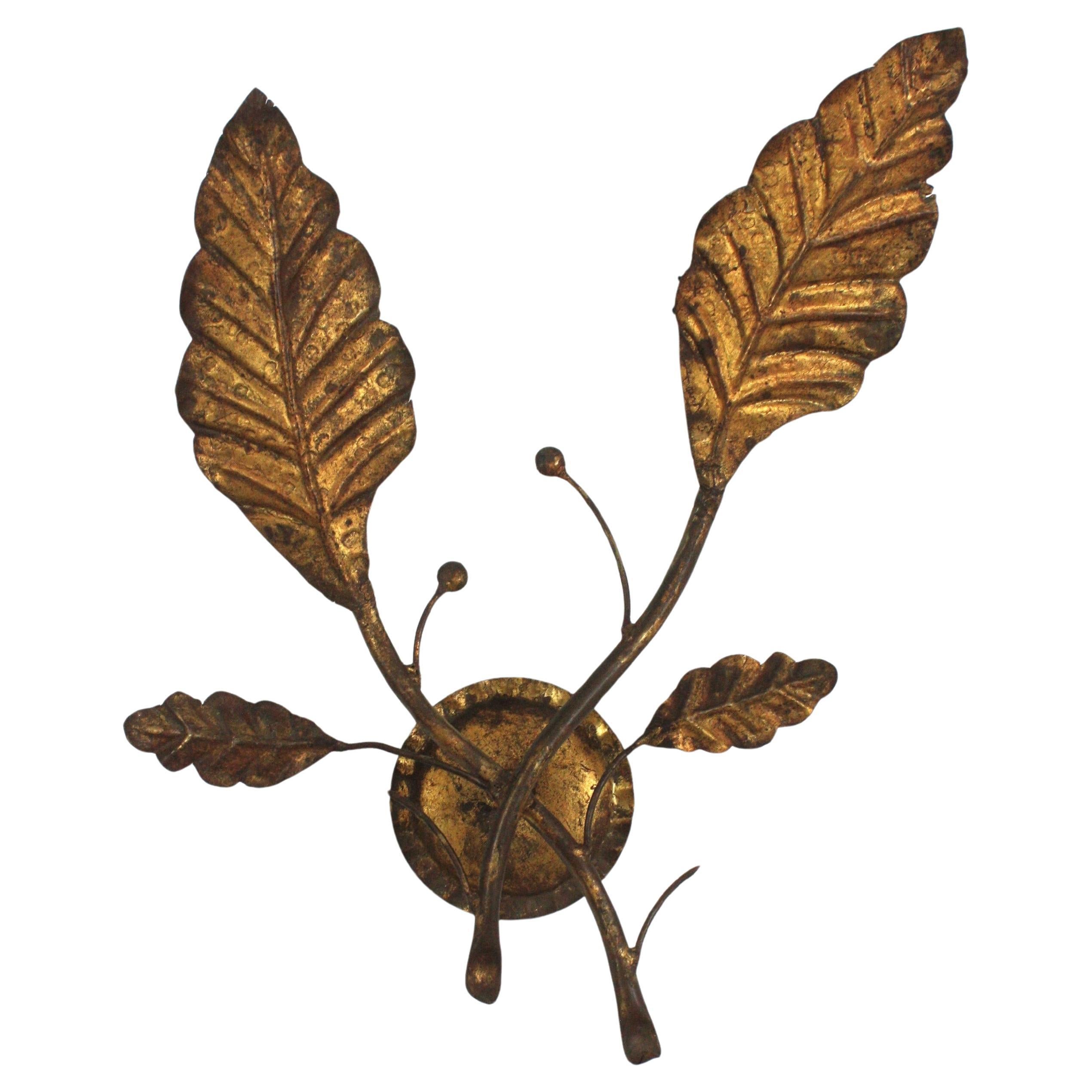 Double Leaf Large Wall Light in Gilt Iron, France 1950s