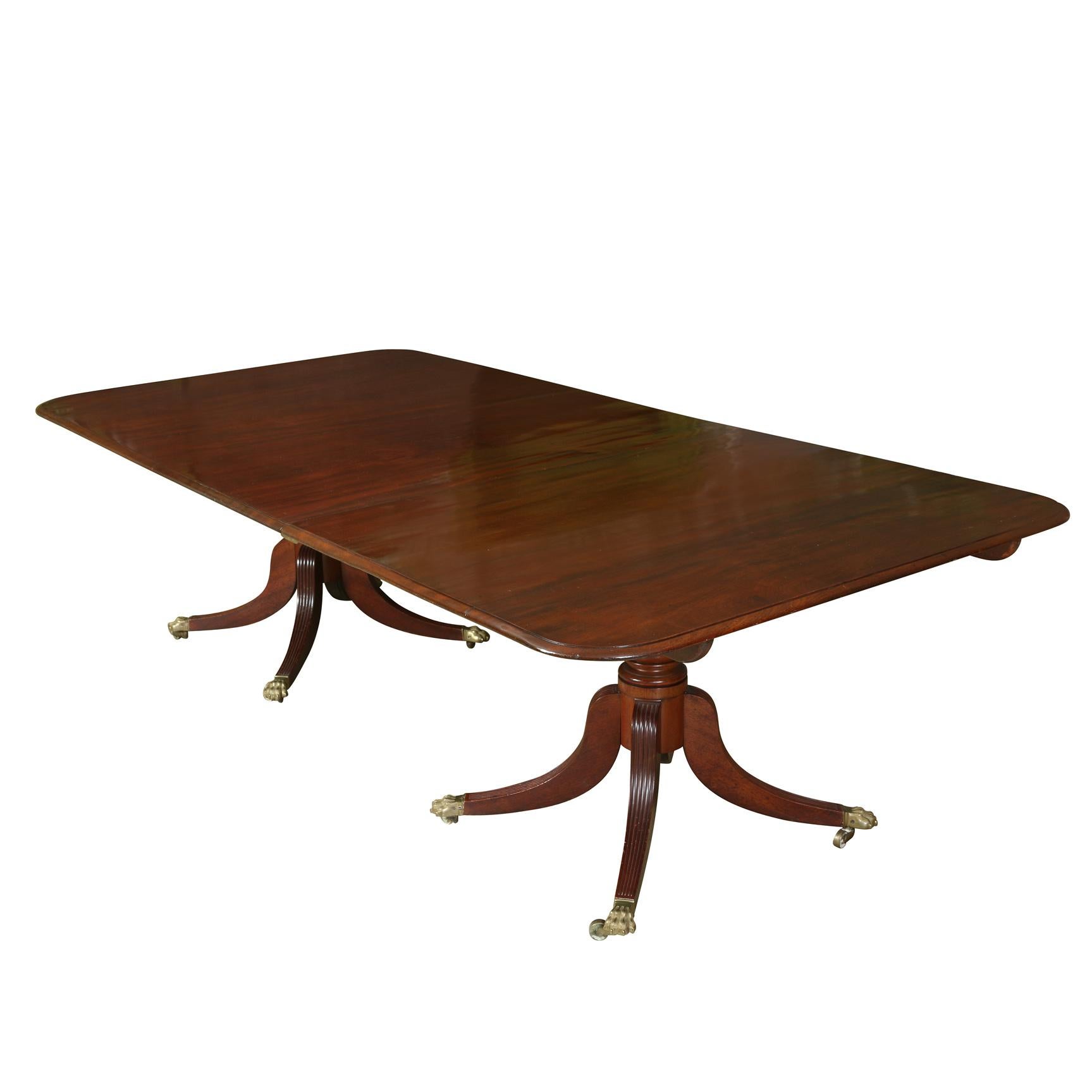 A double pedestal polished mahogany dining table with multiple leaves.  Each pedestal is supported by four splayed, reeded legs ending in brass paw feet on casters.  Five leaves allow for multiple configurations of the table.  Three leaves have a