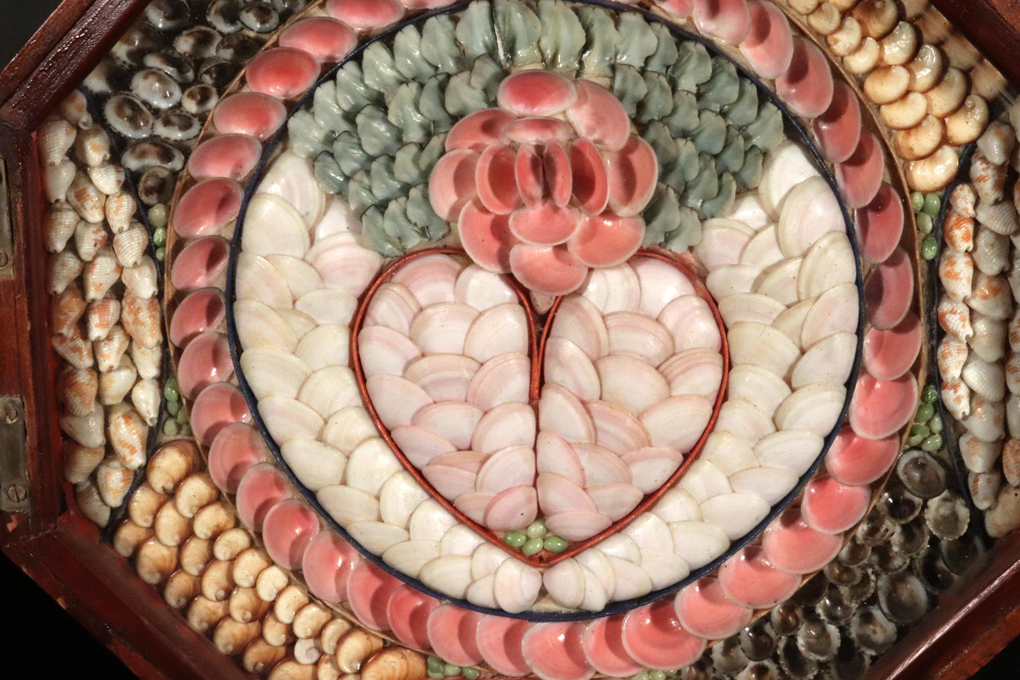 San Valentín marinero doble de conchas marinas con diseños de corazones y estrellas Barbadense en venta