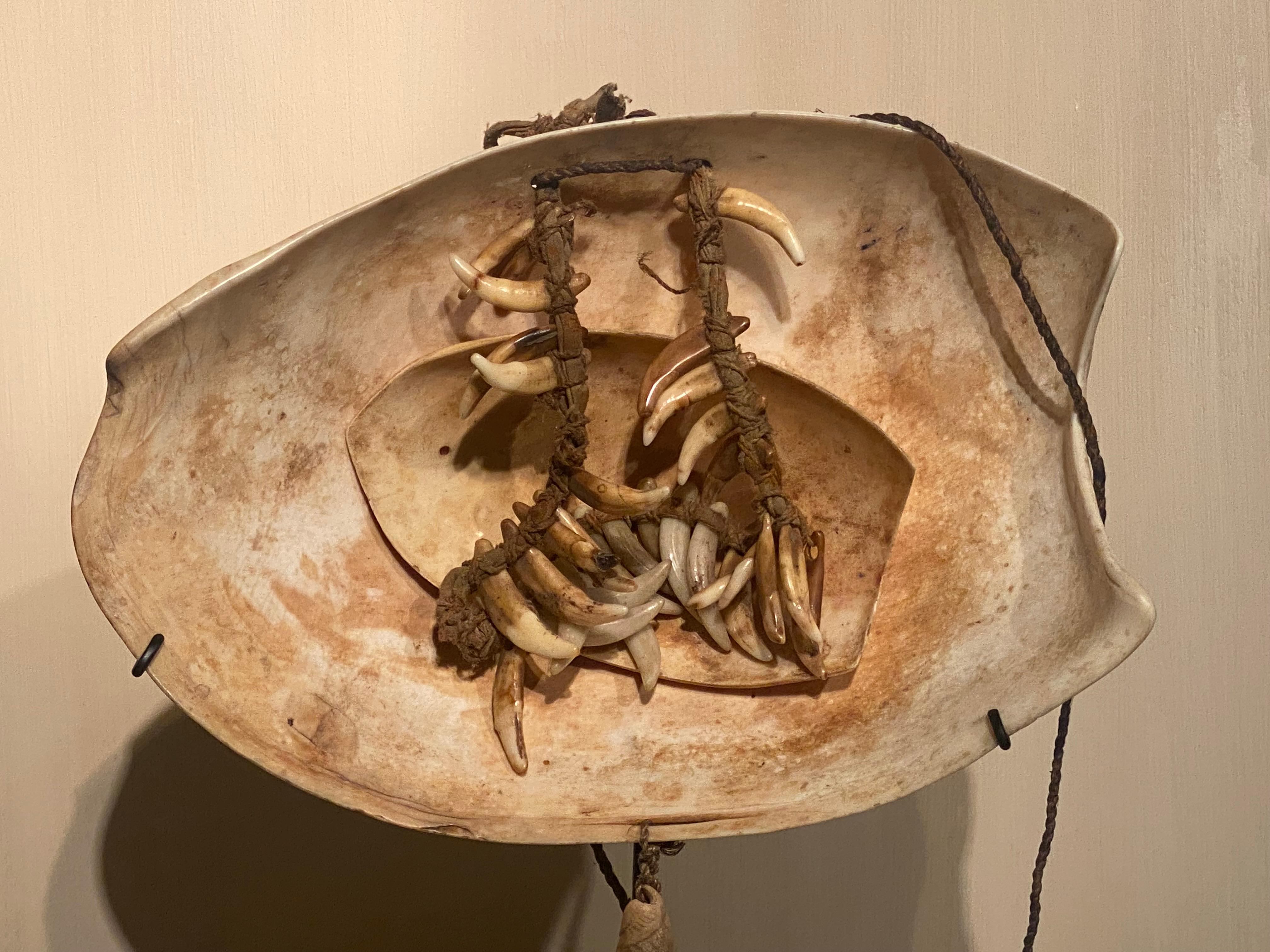 Asiatique Amulet double coquillage de Papouasie-Nouvelle-Guinée en vente