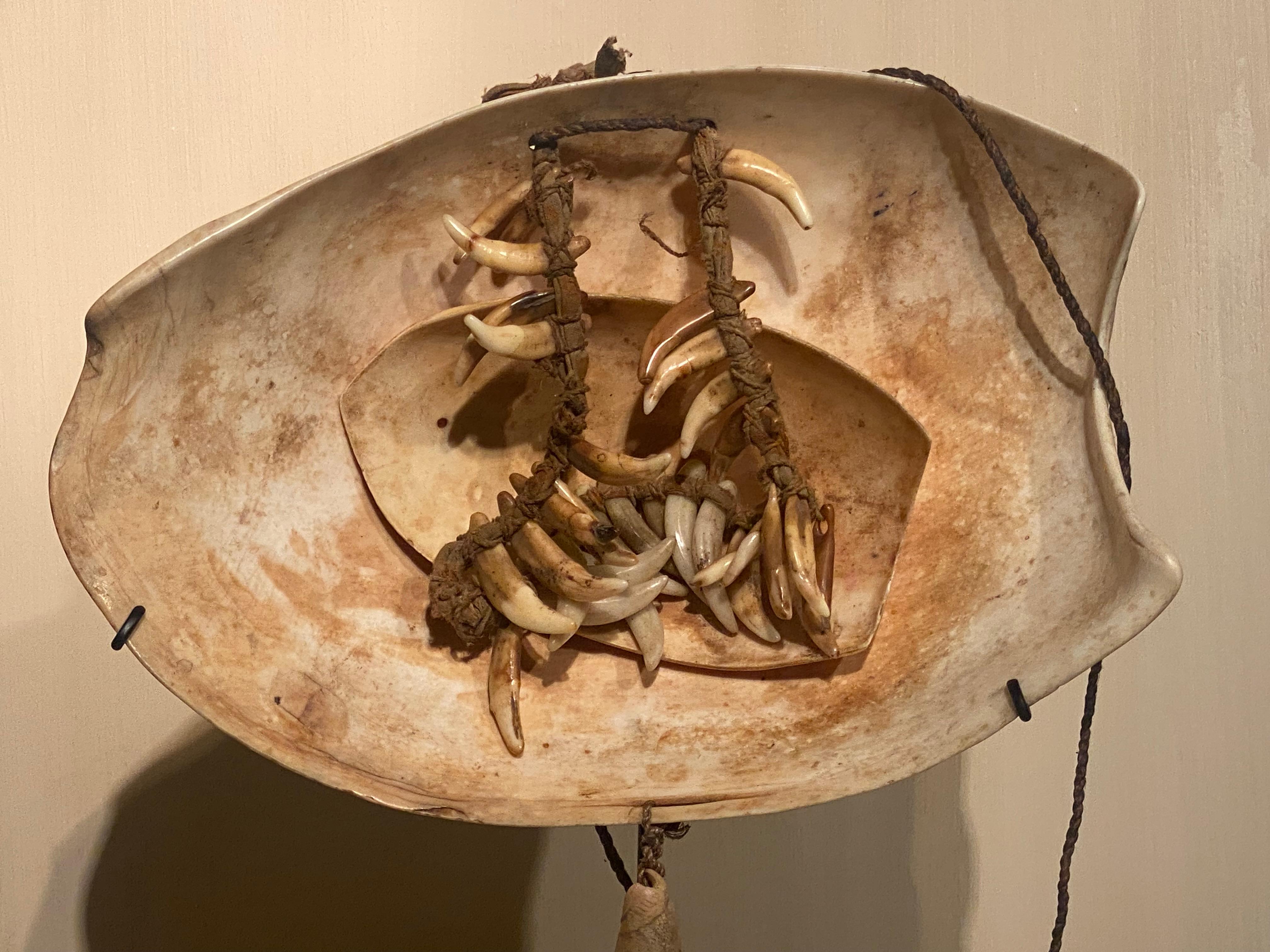 Amulet double coquillage de Papouasie-Nouvelle-Guinée en vente 2