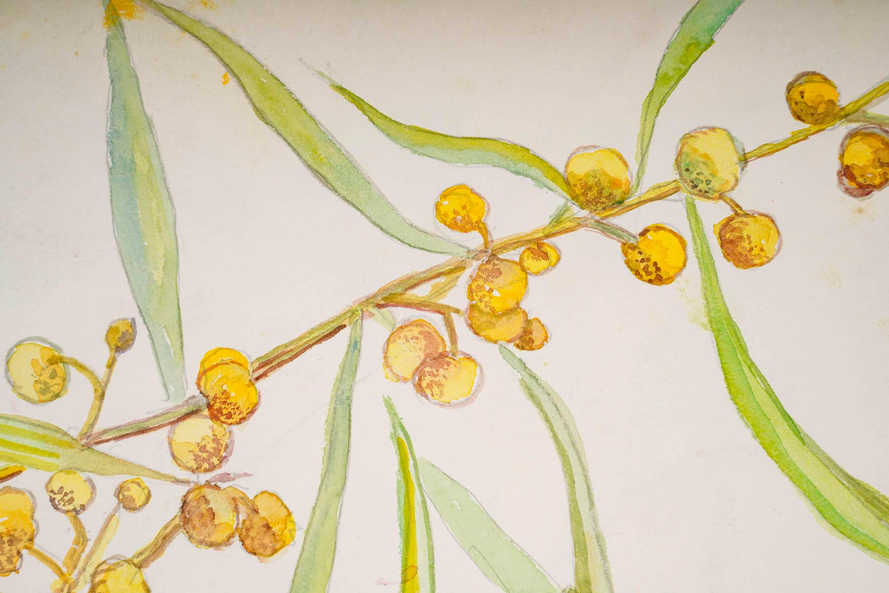 Mid-Century Modern Dessins de plantes à double face, 20e siècle en vente