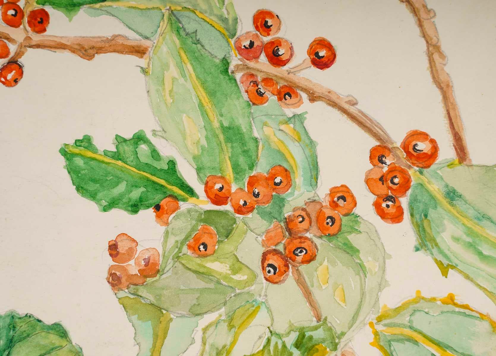 20ième siècle Dessins de plantes à double face, 20e siècle en vente