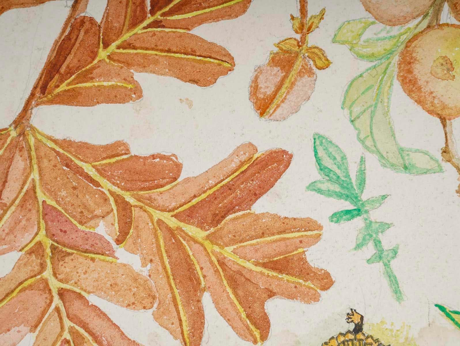 Aquarelle recto-verso de plantes, 20e siècle, Afton, 1962.

Aquarelle recto-verso du 20e siècle représentant des plantes.
H : 41cm, L : 30.5cm, P : 0.2cm