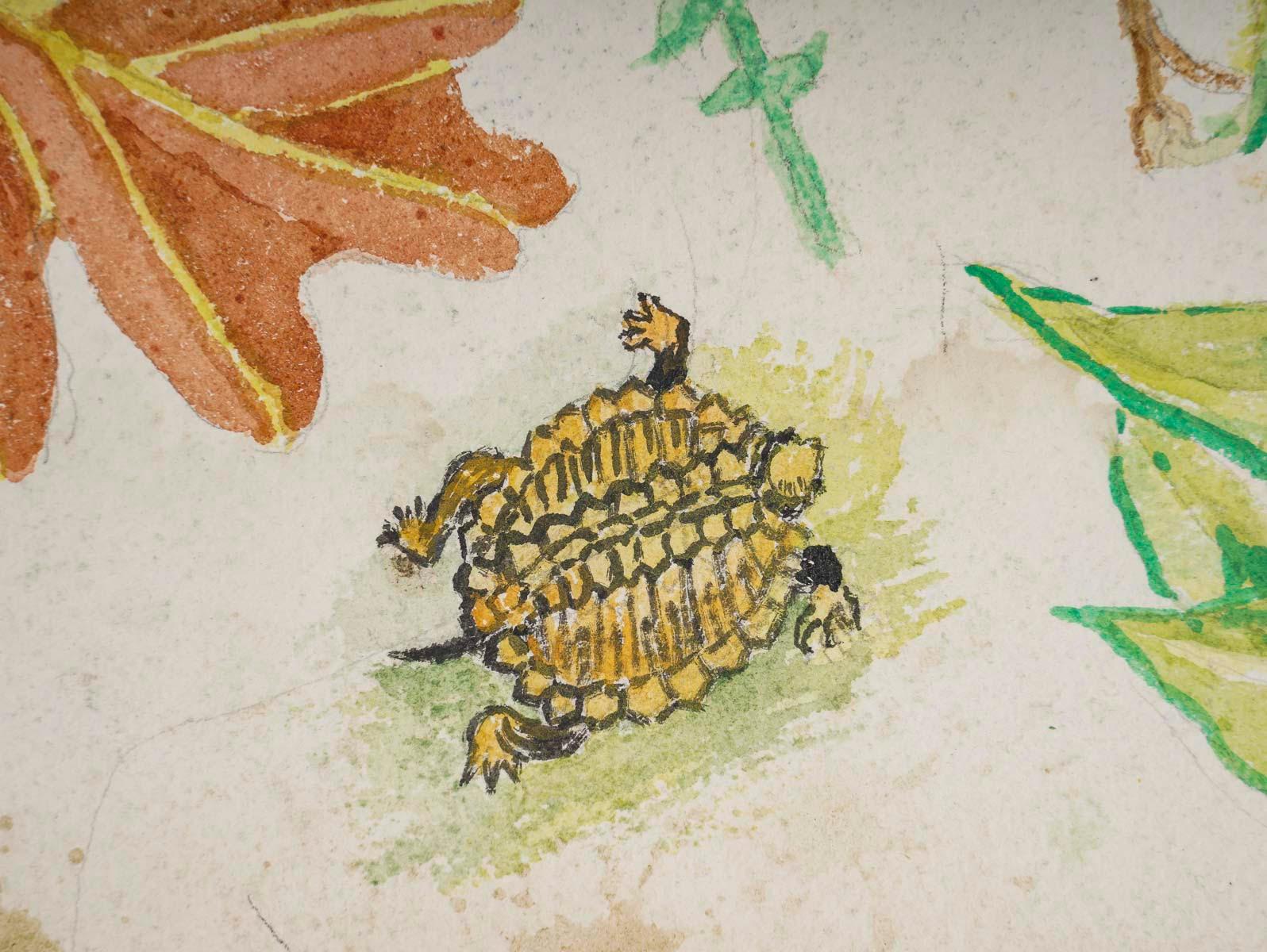 Américain Aquarelle de plantes à double face, 20e siècle, Afton, 1962. en vente