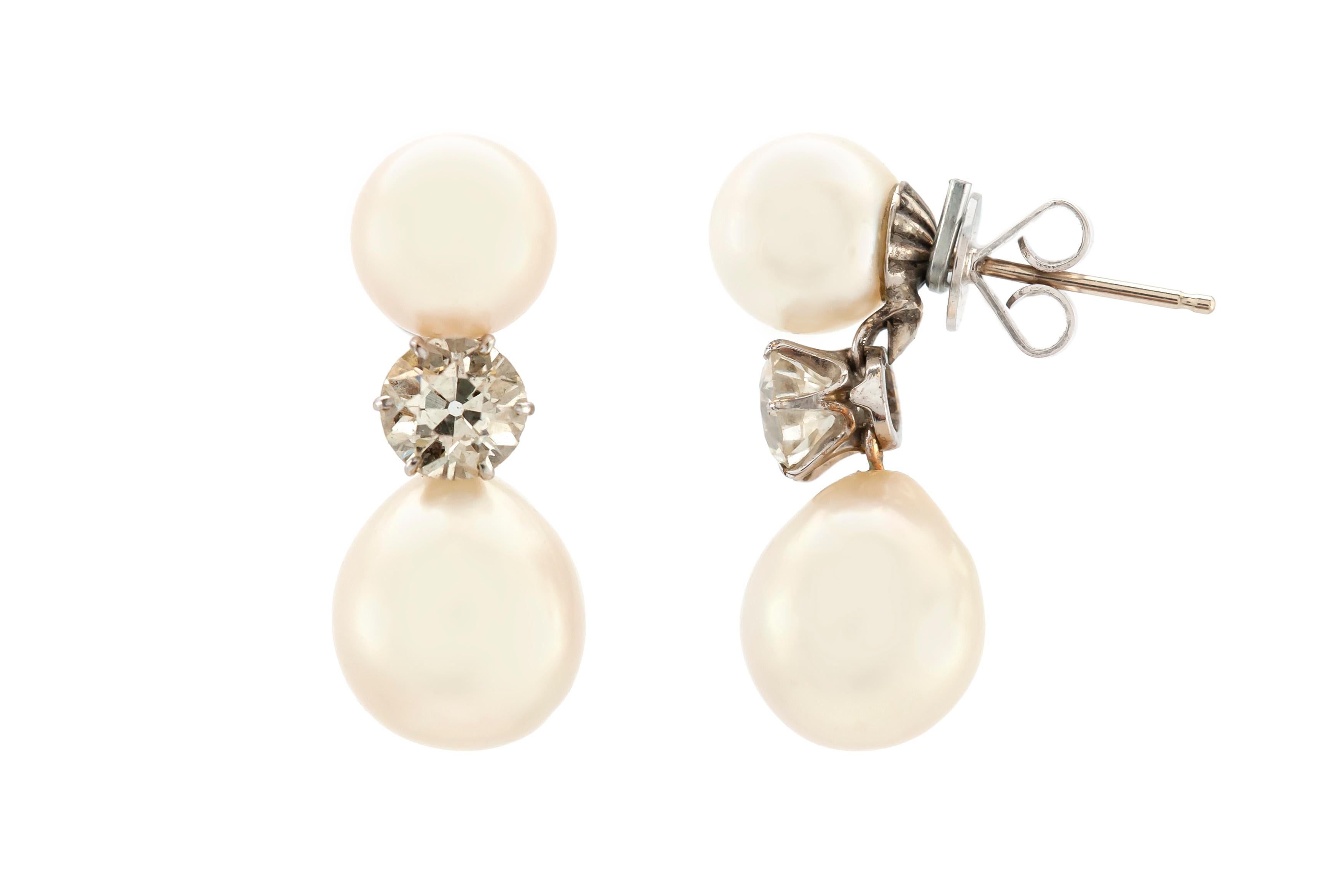 two pearl drop earrings