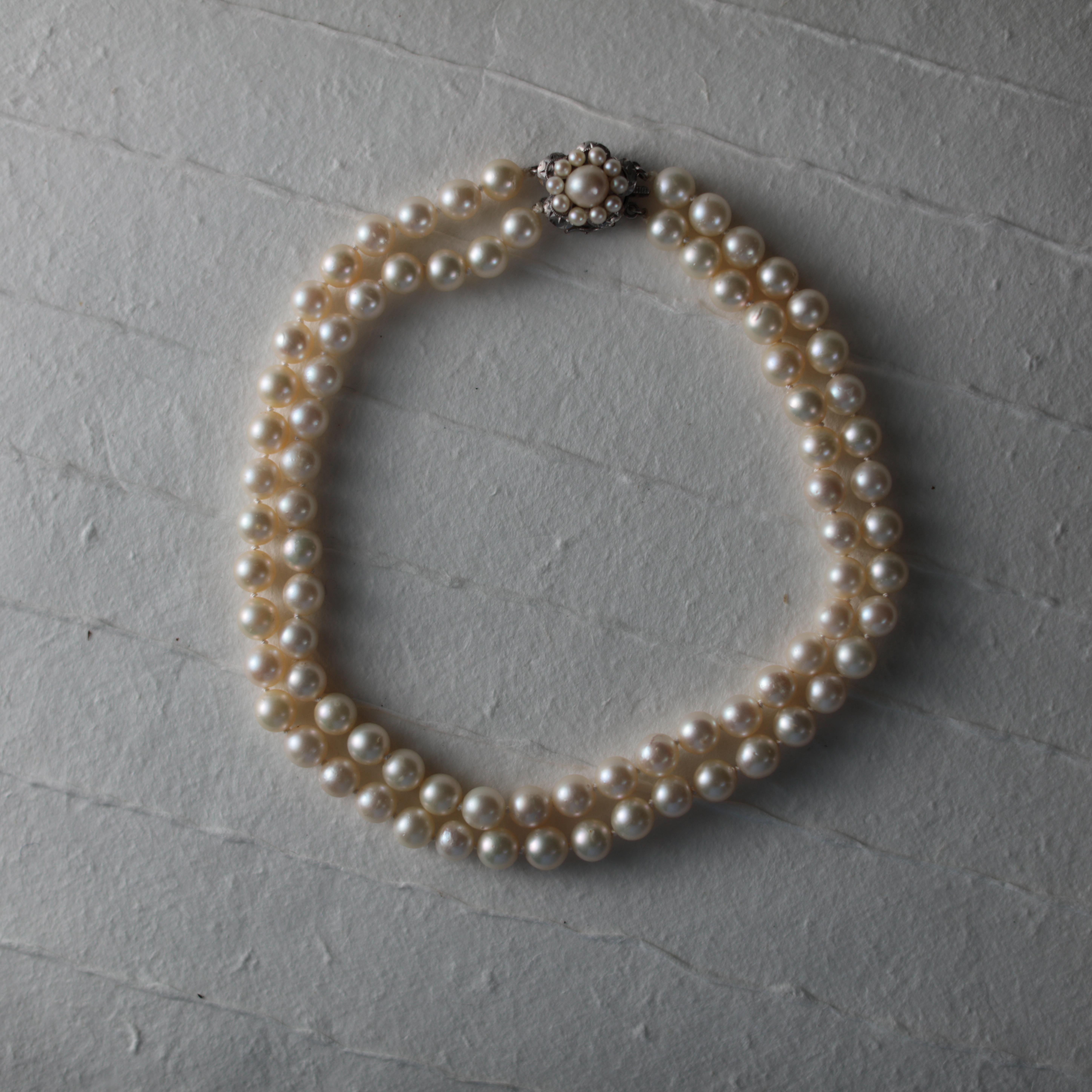 Double Strand Akoya Pearl Necklace 1