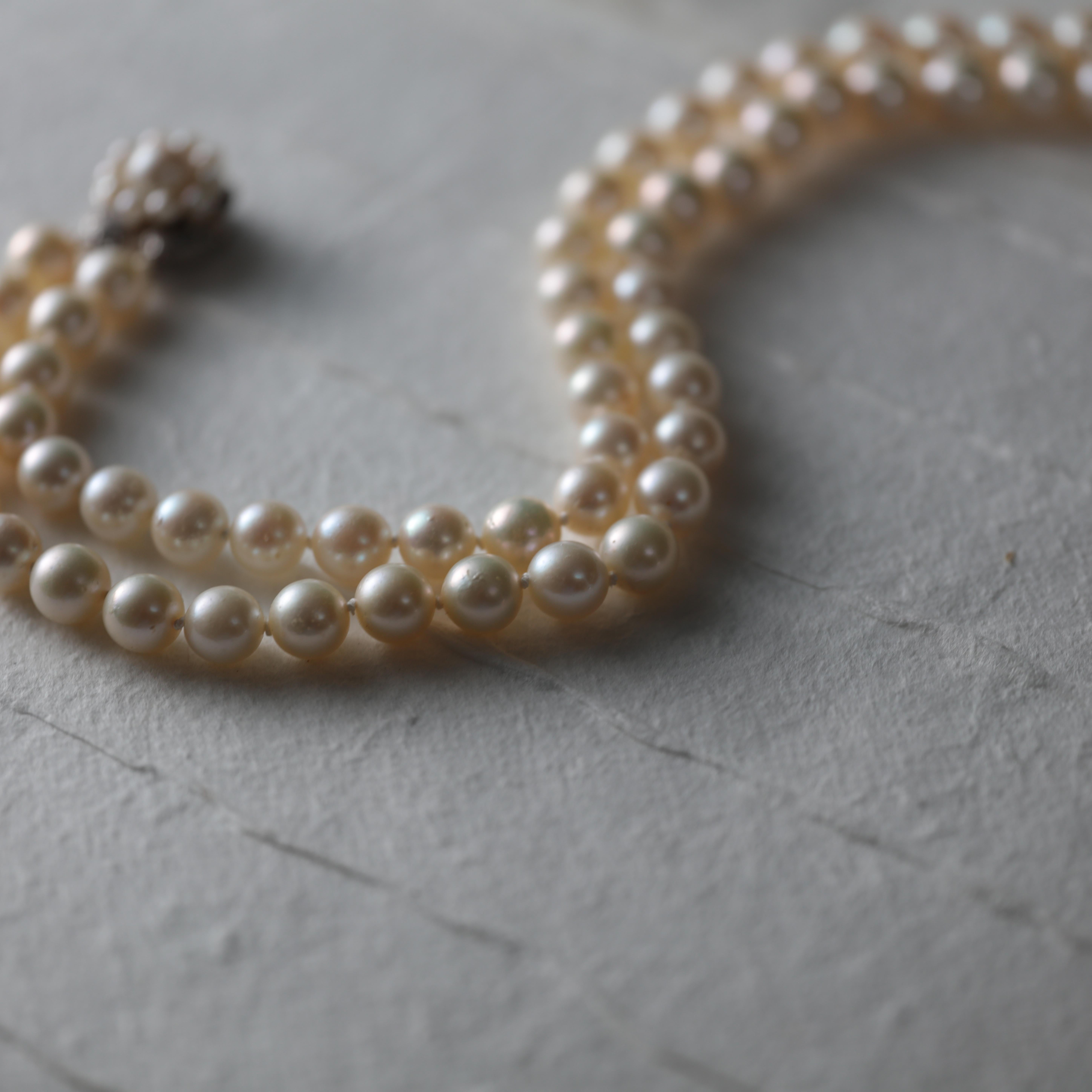 Double Strand Akoya Pearl Necklace 3