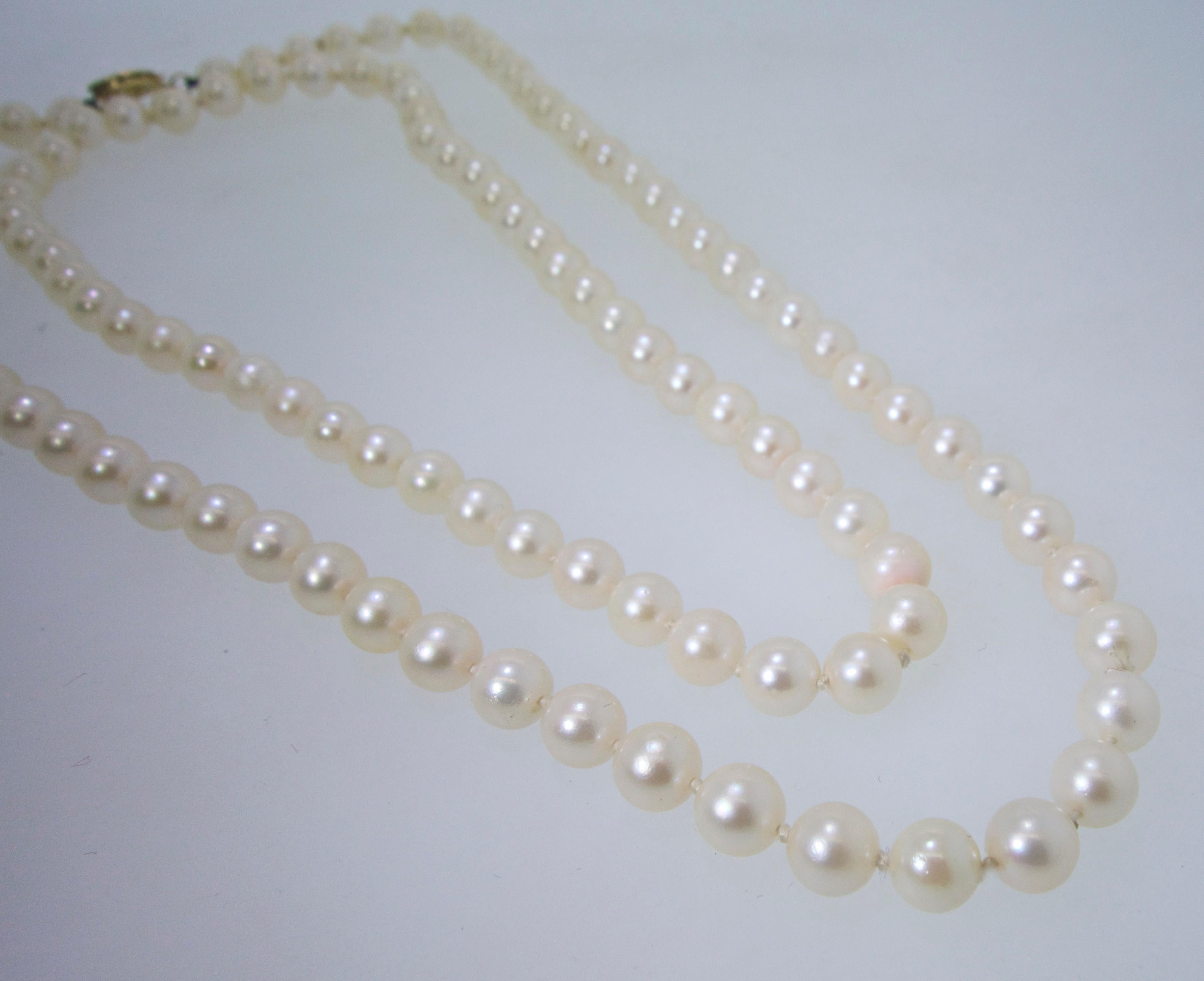 Double Strand of Fine Cultured Akoya Pearls 1