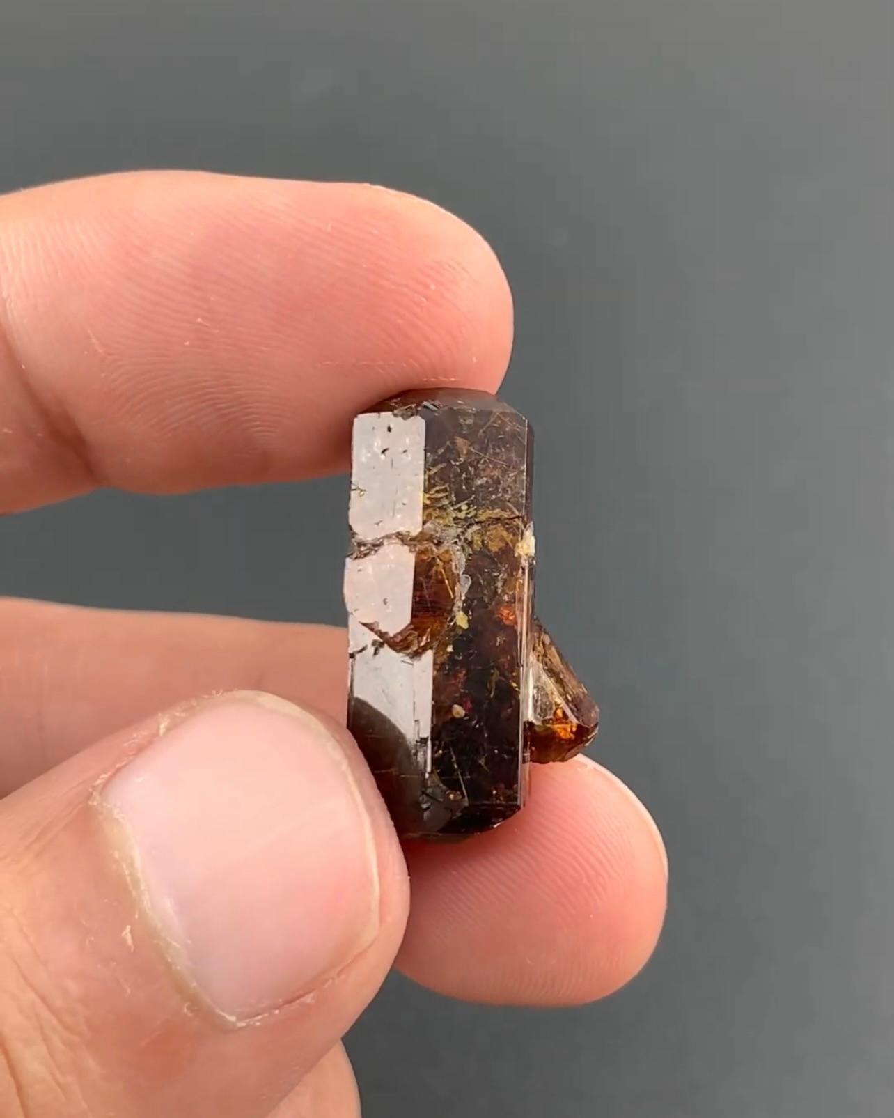 Informations sur le produit :

Spécimen : Cristaux de bastnasite

Poids : 8 grammes

Dimensions : H : 2,4 x L : 1,3 x P : 1,3 cm : H : 2,4 x L : 1,3 x P : 1,3 cm

Origine : Hameed Abad, Kafoor Dheri, province de KPK, Pakistan

Traitement :