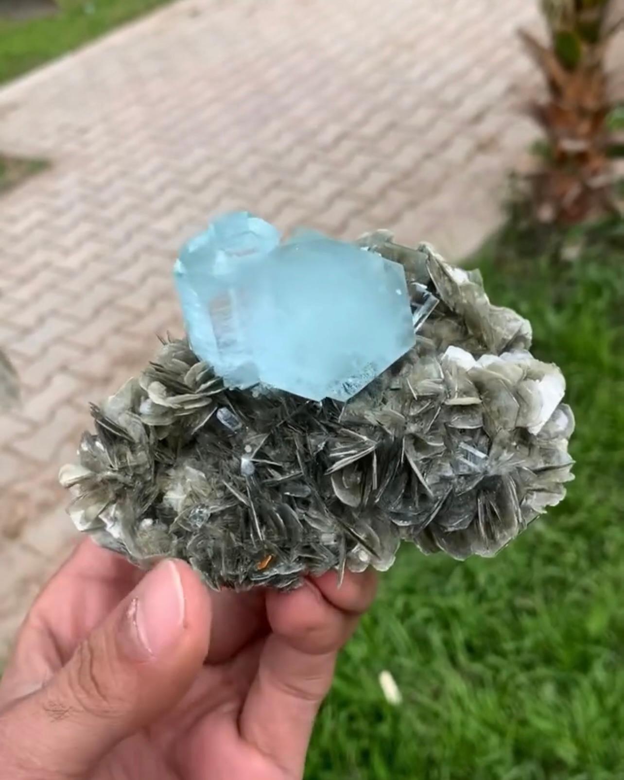 Informationen zum Produkt:

Name der Probe: Aquamarin auf Muskovit-Matrix
Gewicht: 532 Gramm
Abmessungen: H: 8 x B: 11 x T: 7 cm
Behandlung: Keine
Herkunft: Nagar-Tal, Bezirk Skardu, Provinz Gilgit Baltistan, Pakistan

Beschreibung:

Dieses