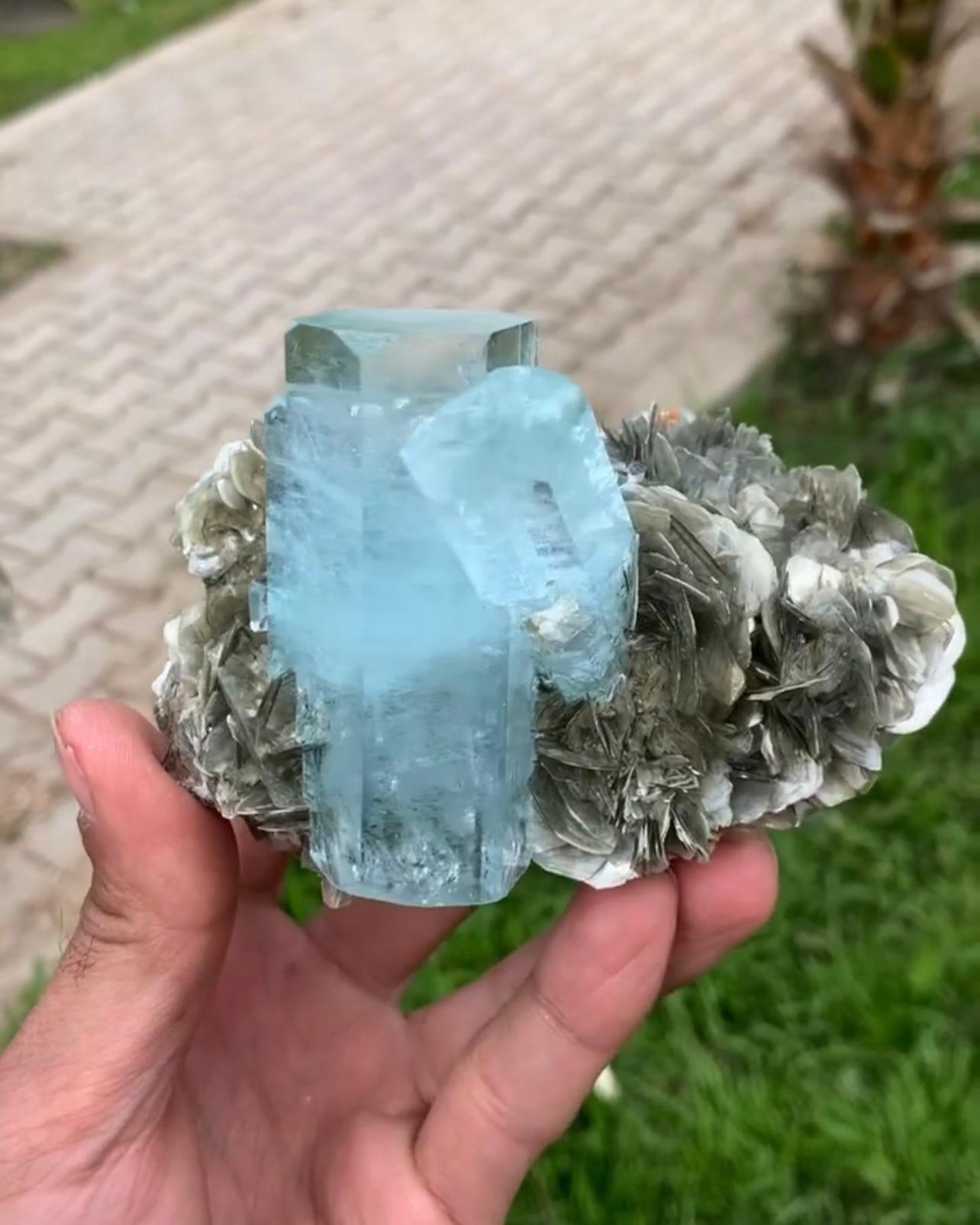 Double Terminated Focal Aquamarin-Kristalle auf Muscovite aus Pakistan im Zustand „Gut“ im Angebot in Peshawar, PK