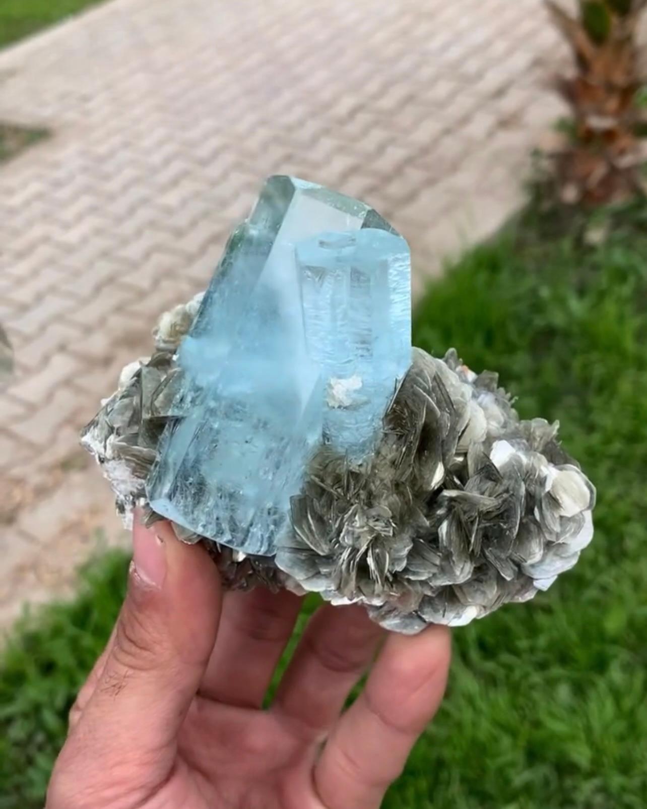 Double Terminated Focal Aquamarin-Kristalle auf Muscovite aus Pakistan im Angebot 2
