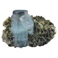 Double Terminated Focal Aquamarine Crystals On Muscovite From Pakistan