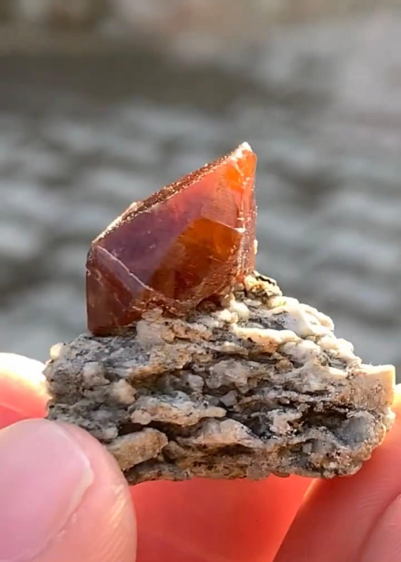 Product Information:

Specimen: Parisite Crystal with Ilmenite on Matrix
Weight: 15 grams
Dimension: H: 2.5 x W: 3 x D: 2 cm 
Origin: Zagi Mountains, Hameed Abad Kafoor Dheri, KPK Province, Pakistan
Treatment: None

Description:

This exceptional