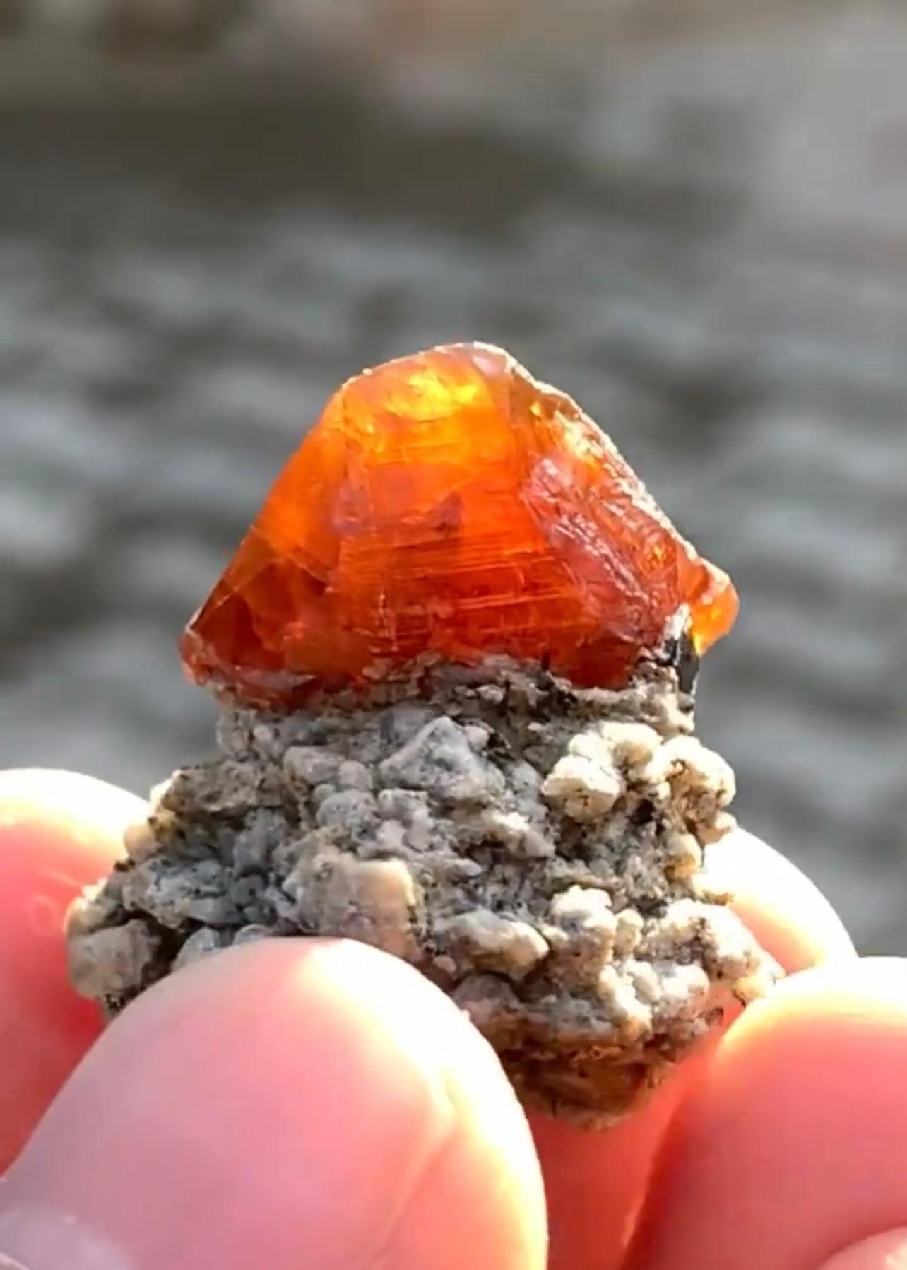 Adam Style Double Terminated Parisite Crystal With Ilmenite On Matrix From Pakistan For Sale