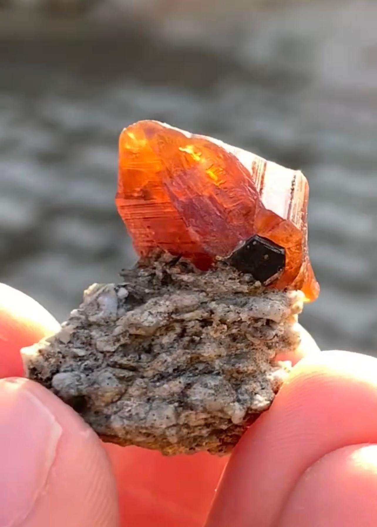 Pakistani Double Terminated Parisite Crystal With Ilmenite On Matrix From Pakistan For Sale