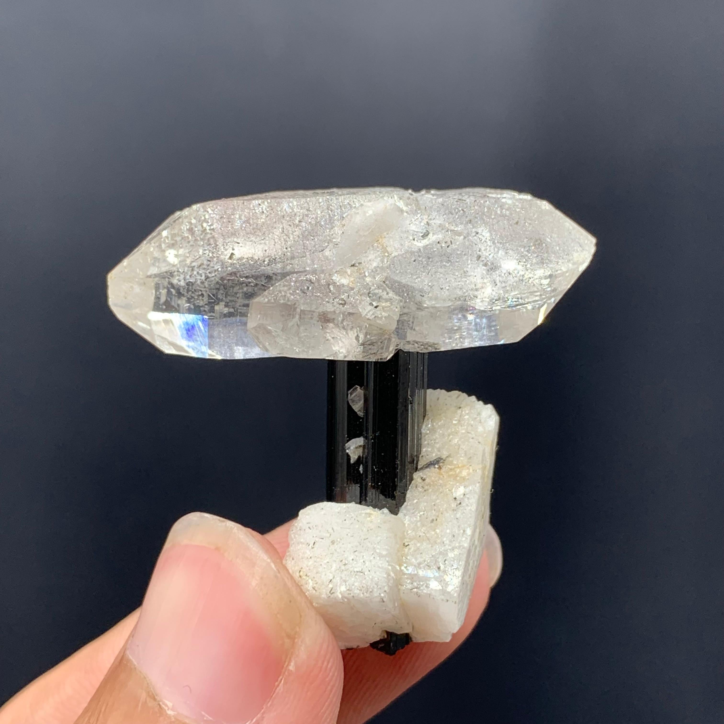 Product Information:
Specimen: Double Terminated clear Quartz crystal on Black Tourmaline with Albite
Weight: 14 grams
Dimensions: H: 3.4 x W: 3.6 x D: 1.5 cm
Treatment: None
Locality: Skardu District, Gilgit Baltistan, Pakistan
.
Presenting this