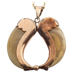 Doppio artiglio di tigre del Raj indiano di epoca vittoriana