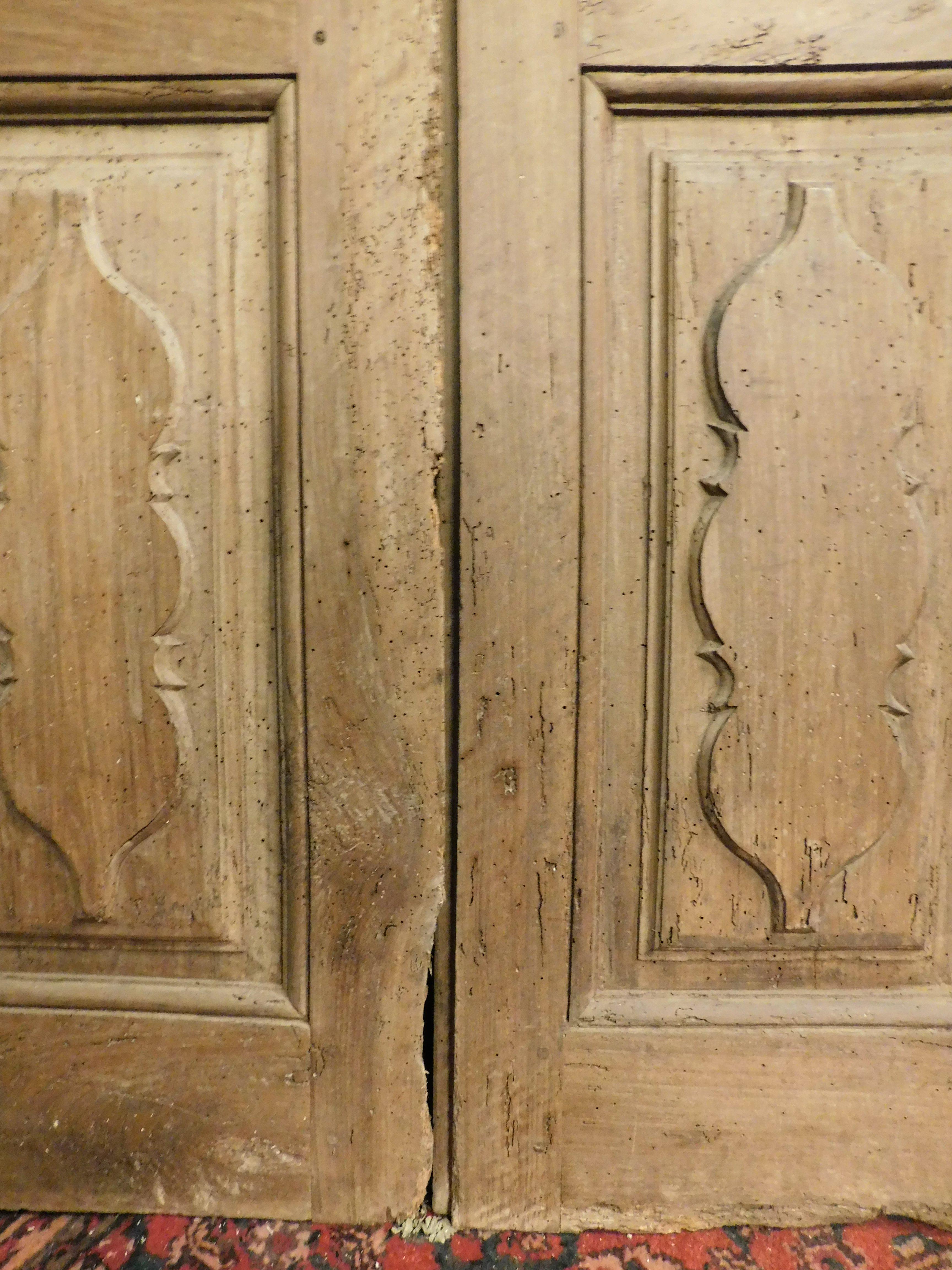 Double wing door, carved in walnut, 18th century, Italy For Sale 1