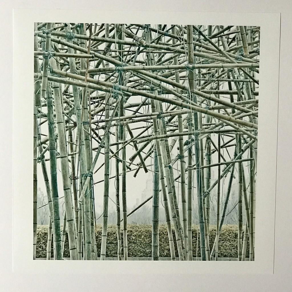  Big Bambu, signed & numbered print based upon Metropolitan Museum installation - Print by Doug & Mike Starn
