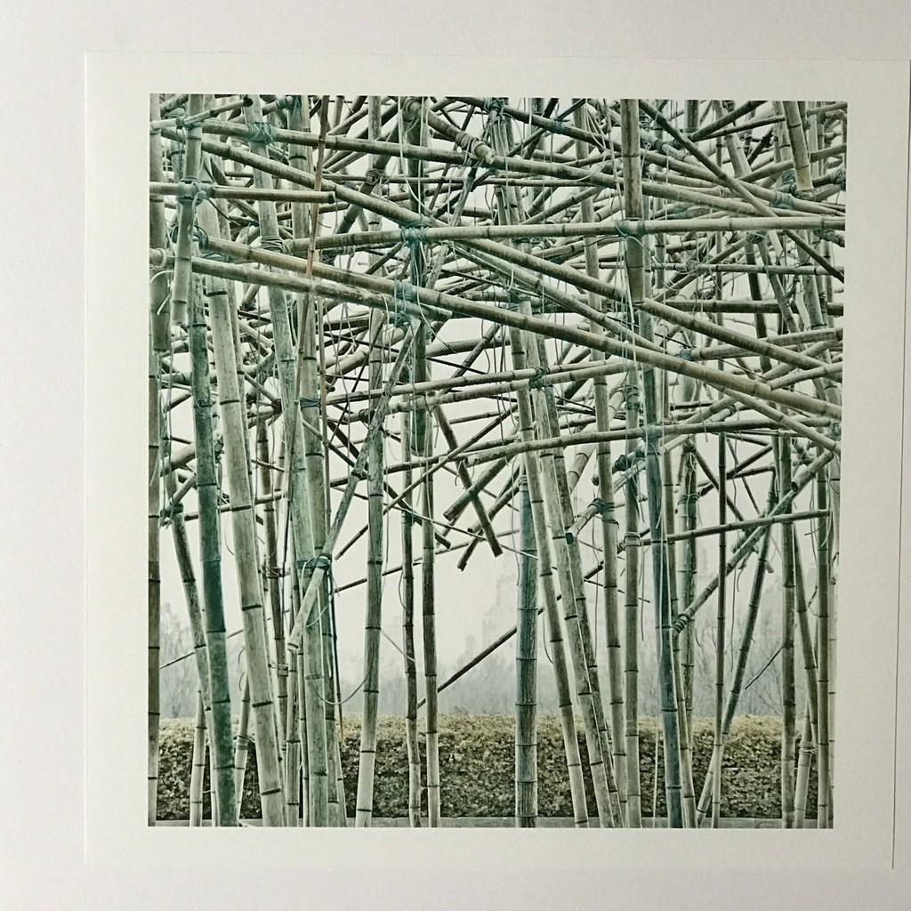 Big Bambu, signed & numbered print based upon Metropolitan Museum installation - Contemporary Print by Doug & Mike Starn