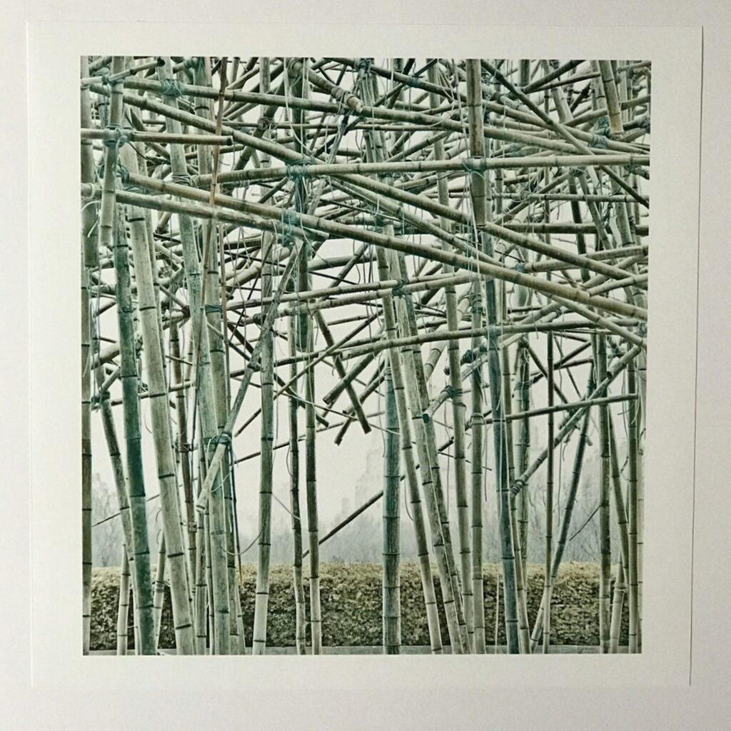 Doug & Mike Starn Figurative Print –  Big Bambu, signierter und nummerierter Druck basierend auf der Installation des Metropolitan Museums