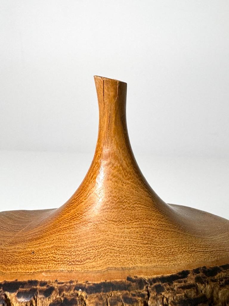 Doug Ayers Carved Ironwood Live Edge Vase Weedpot Vessel Sculpture 1970s For Sale 5
