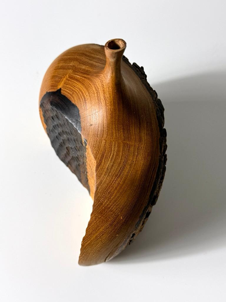 Late 20th Century Doug Ayers Carved Ironwood Live Edge Vase Weedpot Vessel Sculpture 1970s For Sale