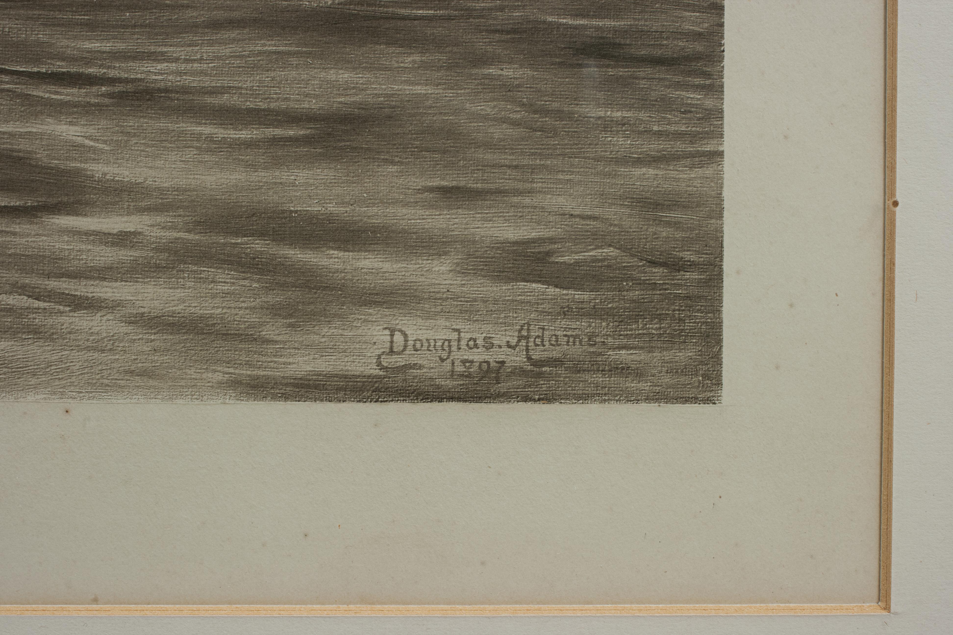 Douglas Adams Meereshose-Fisch-Fotogravur im Angebot 3