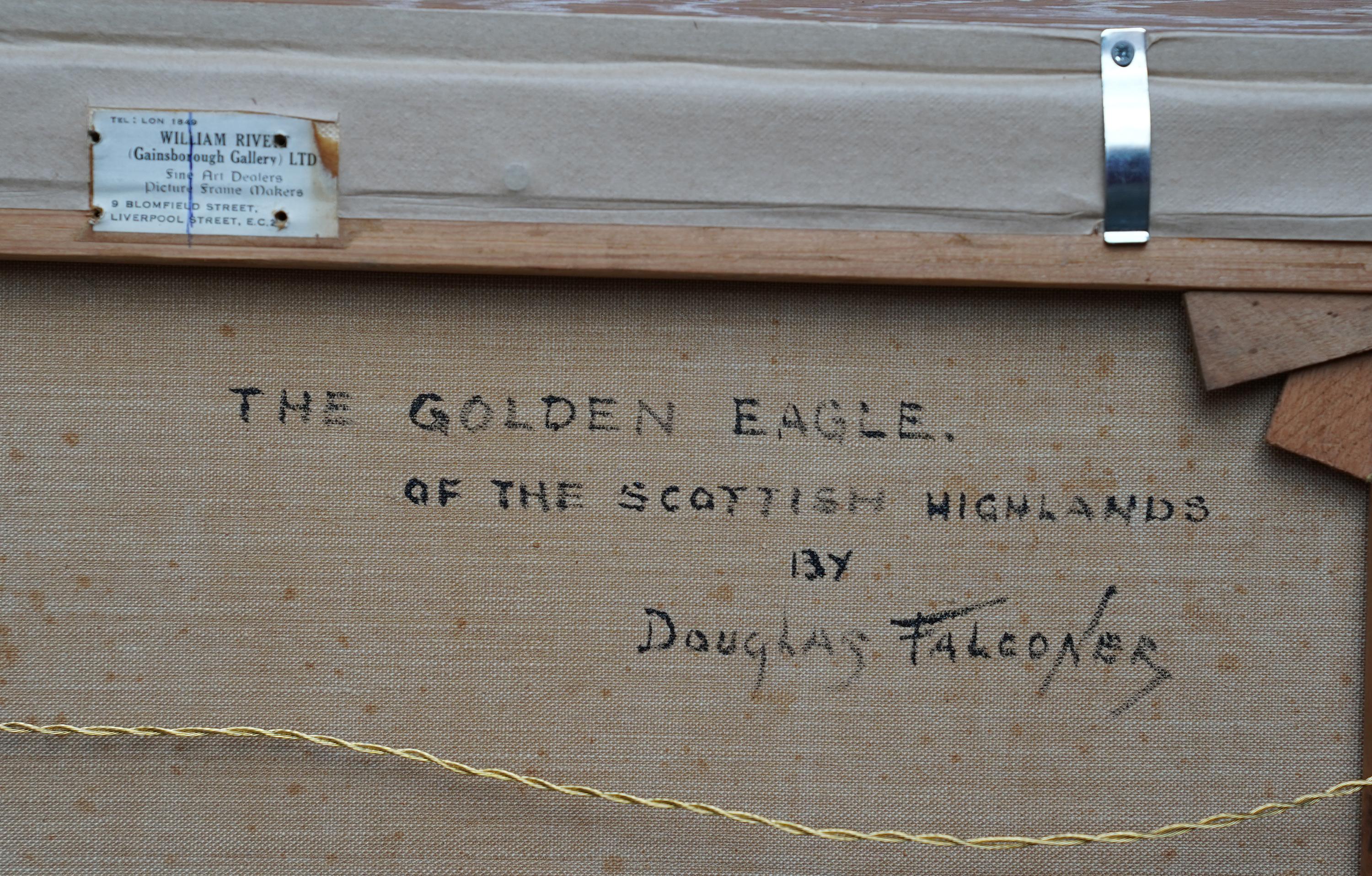 Golden Eagle of Scottish Highlands - Scottish art bird landscape oil painting For Sale 3