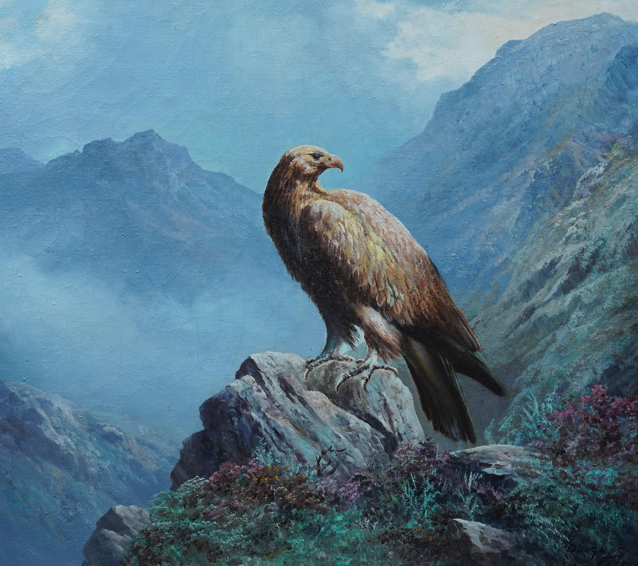 Cette superbe peinture à l'huile écossaise est l'œuvre du célèbre paysagiste Douglas Falconer. Peinte vers 1960, la composition représente un aigle royal assis dans un paysage montagneux. L'oiseau est perché sur un rocher et regarde par-dessus son