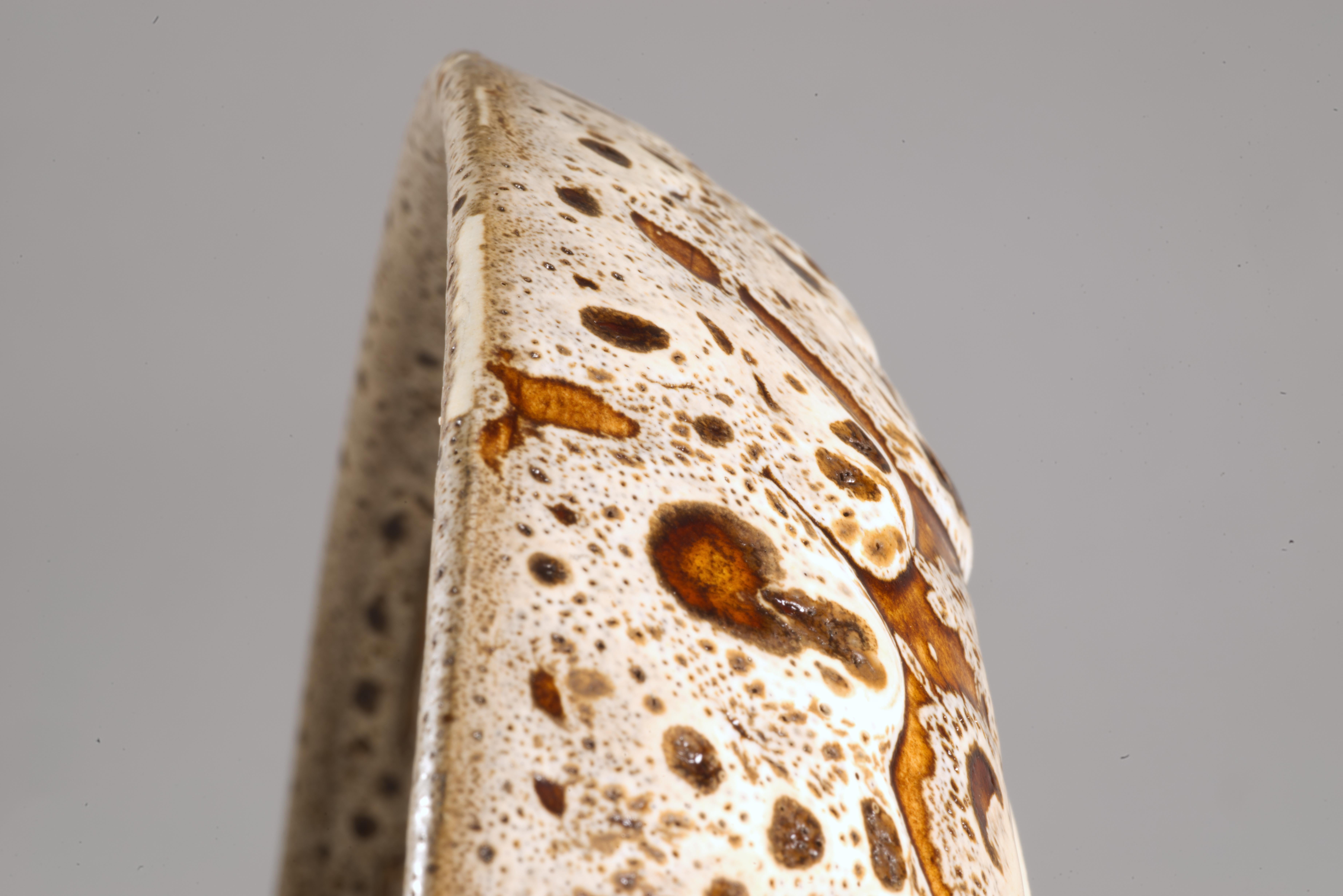Douglas Ferguson für Pigeon Forge Crater Glasurschale #1, American Studio Pottery im Angebot 1