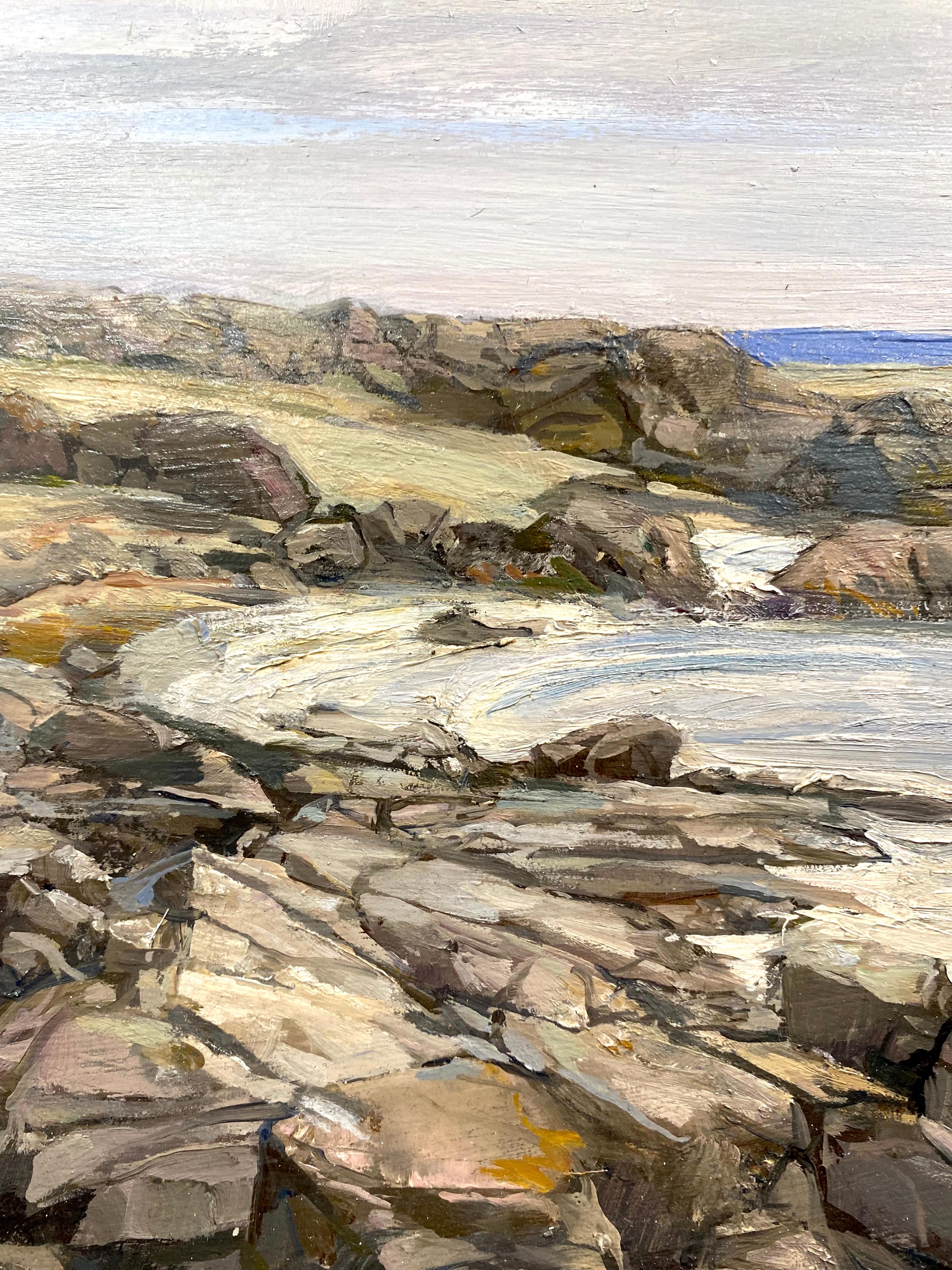 Rocks On The Shore - Realist Painting by Douglas Martenson