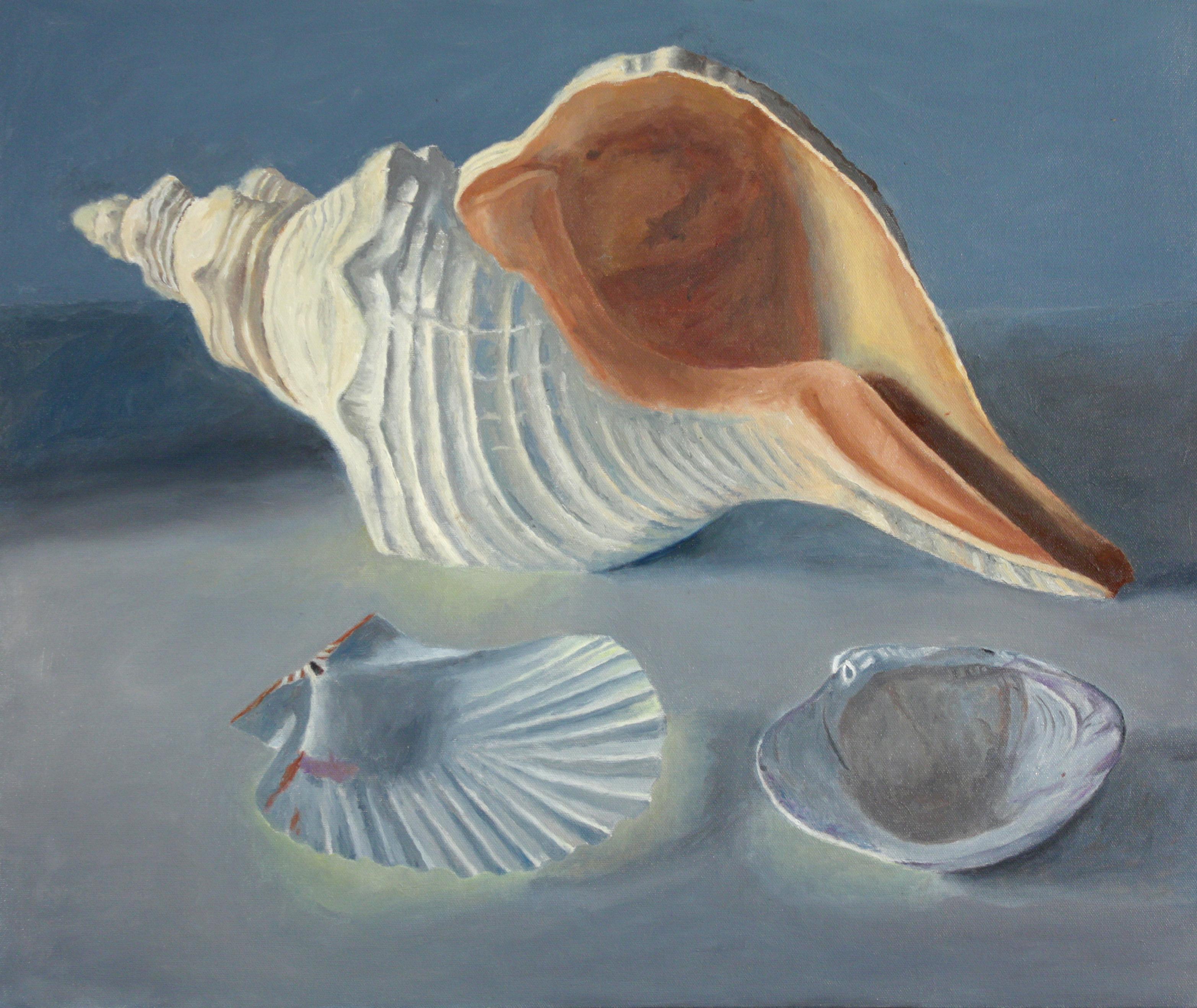Still-Life Painting di Douglas Newton - Conchiglia, pittura realistica ad olio blu - grigio con tonalità della terra