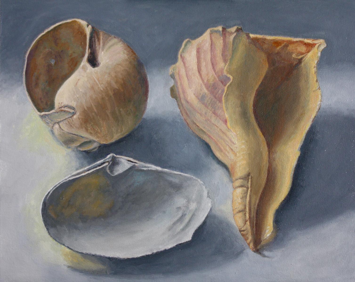 Douglas Newton Still-Life Painting - Three Shells, realistic still life sea shell subtle grey, tan composition