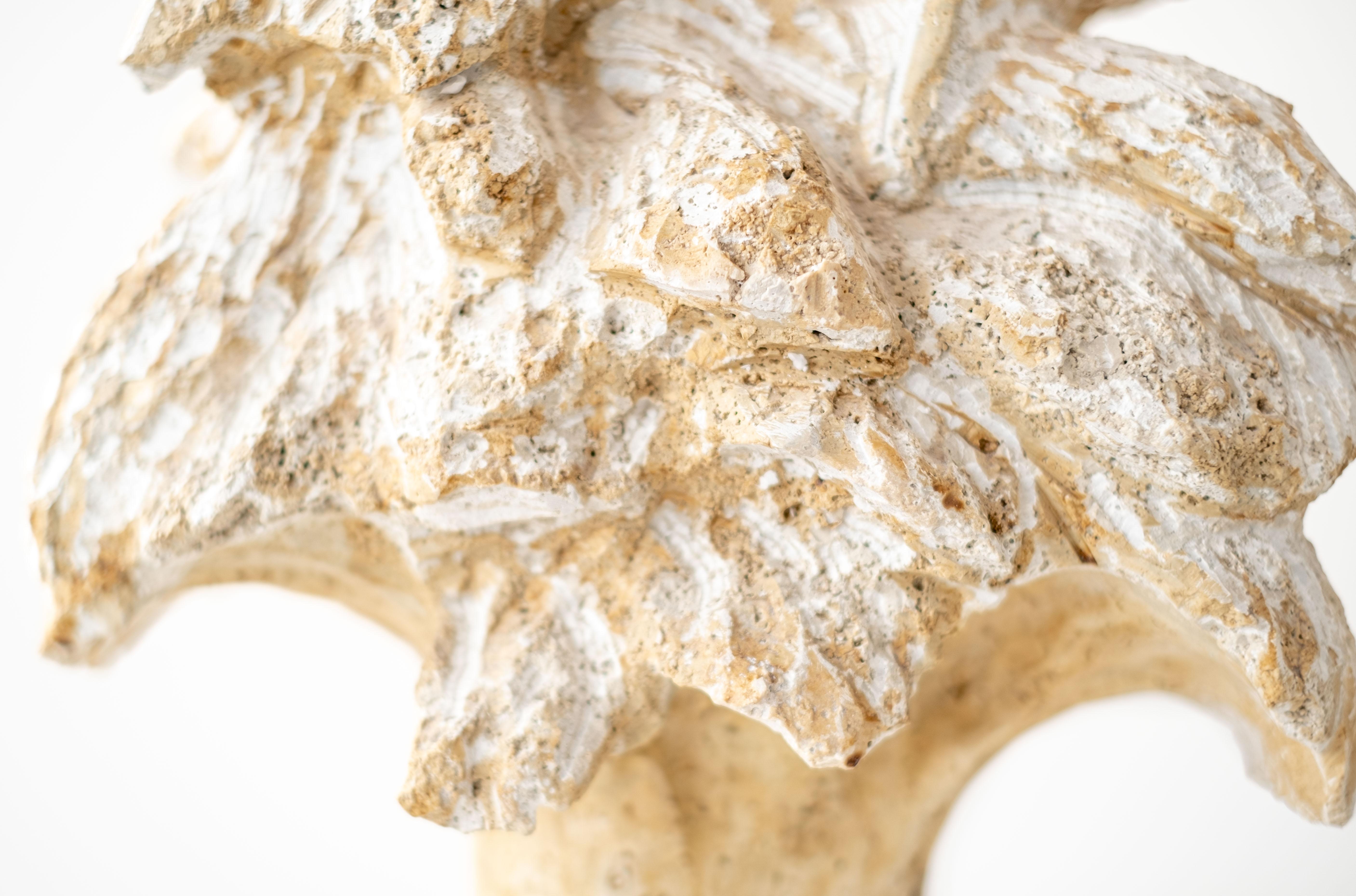 Noce - escultura figurativa, flora, tallada a mano, piedra travertino de Siena en venta 3