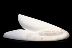 Samara - lisse, blanc, nature morte, sculpture en marbre de Carrera