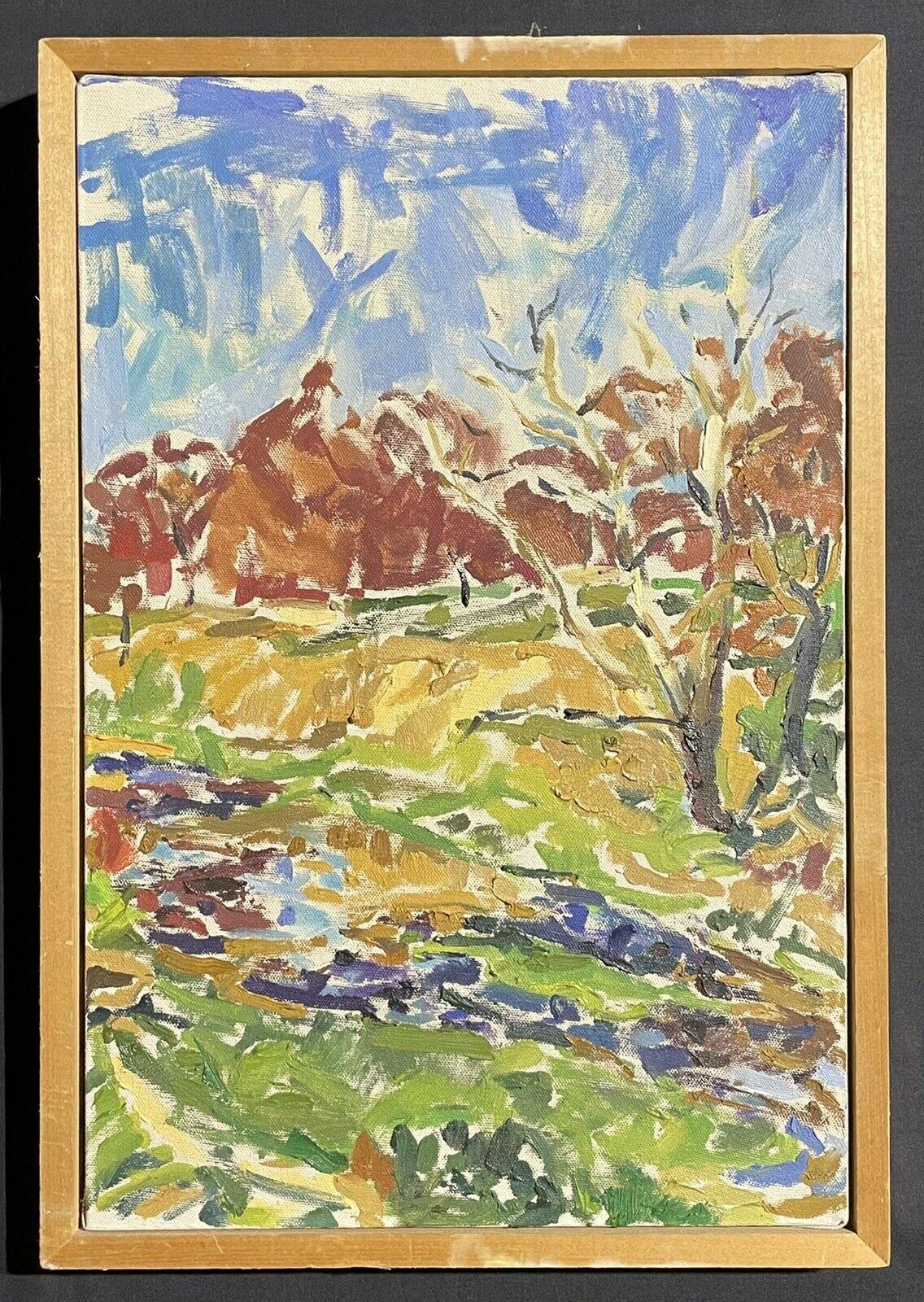 Groß  Impressionistisches Ölgemälde - Bunte fließende Flussssszene – Painting von Douglas Stuart Allen