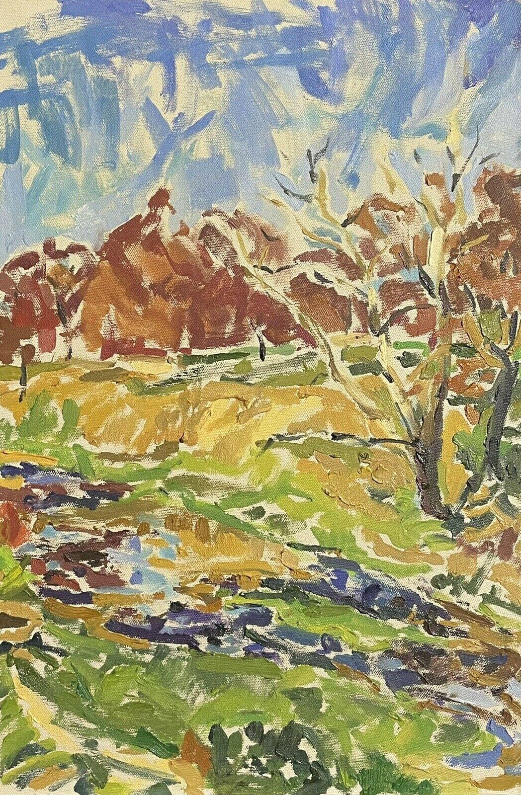 Douglas Stuart Allen Landscape Painting – Groß  Impressionistisches Ölgemälde - Bunte fließende Flussssszene