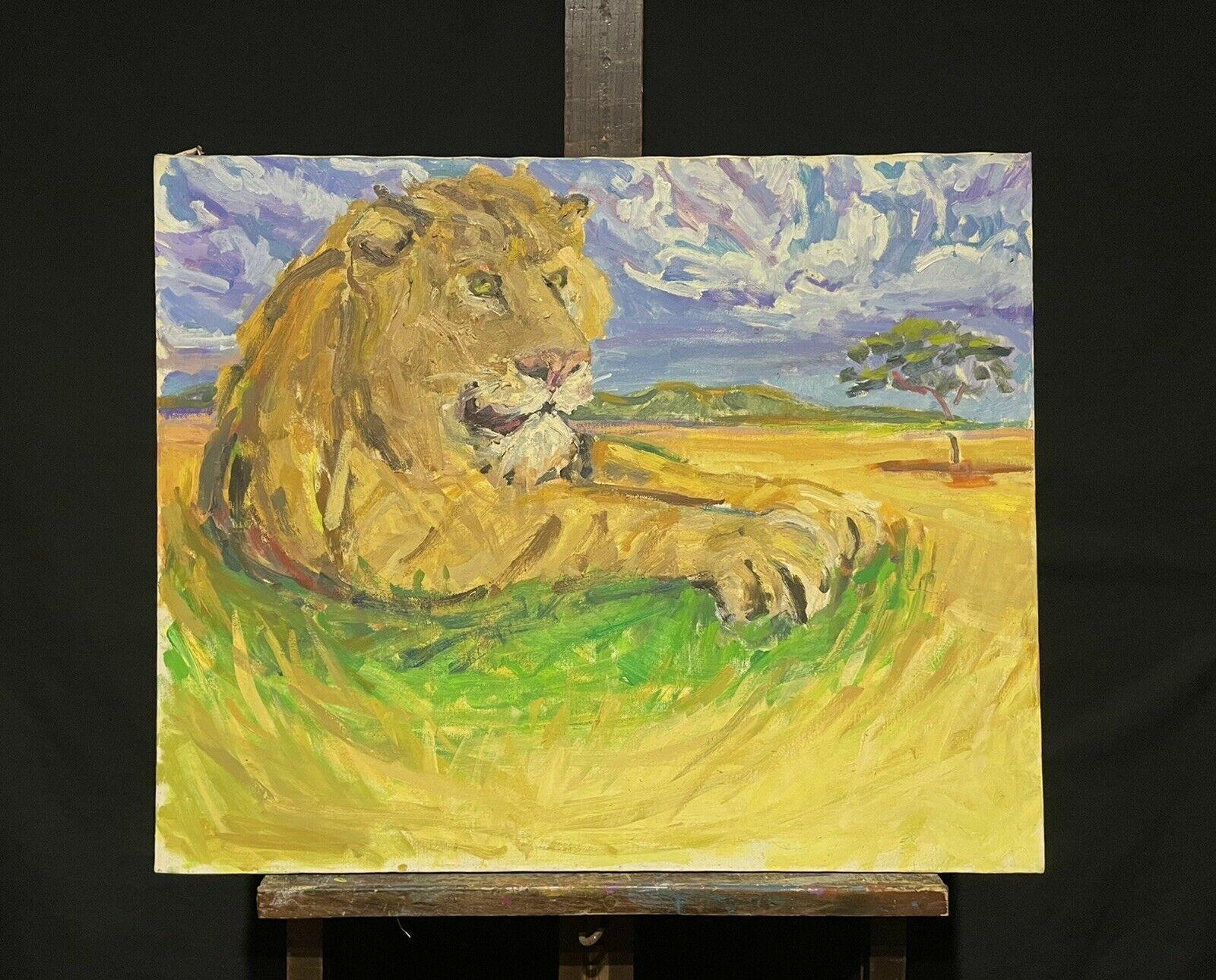 Grande peinture à l'huile impressionniste signée - Lion reposant dans un paysage - Painting de Douglas Stuart Allen
