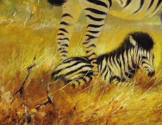 Douglas Van Howd Zebra Mare And Foal African Wildlife Scene