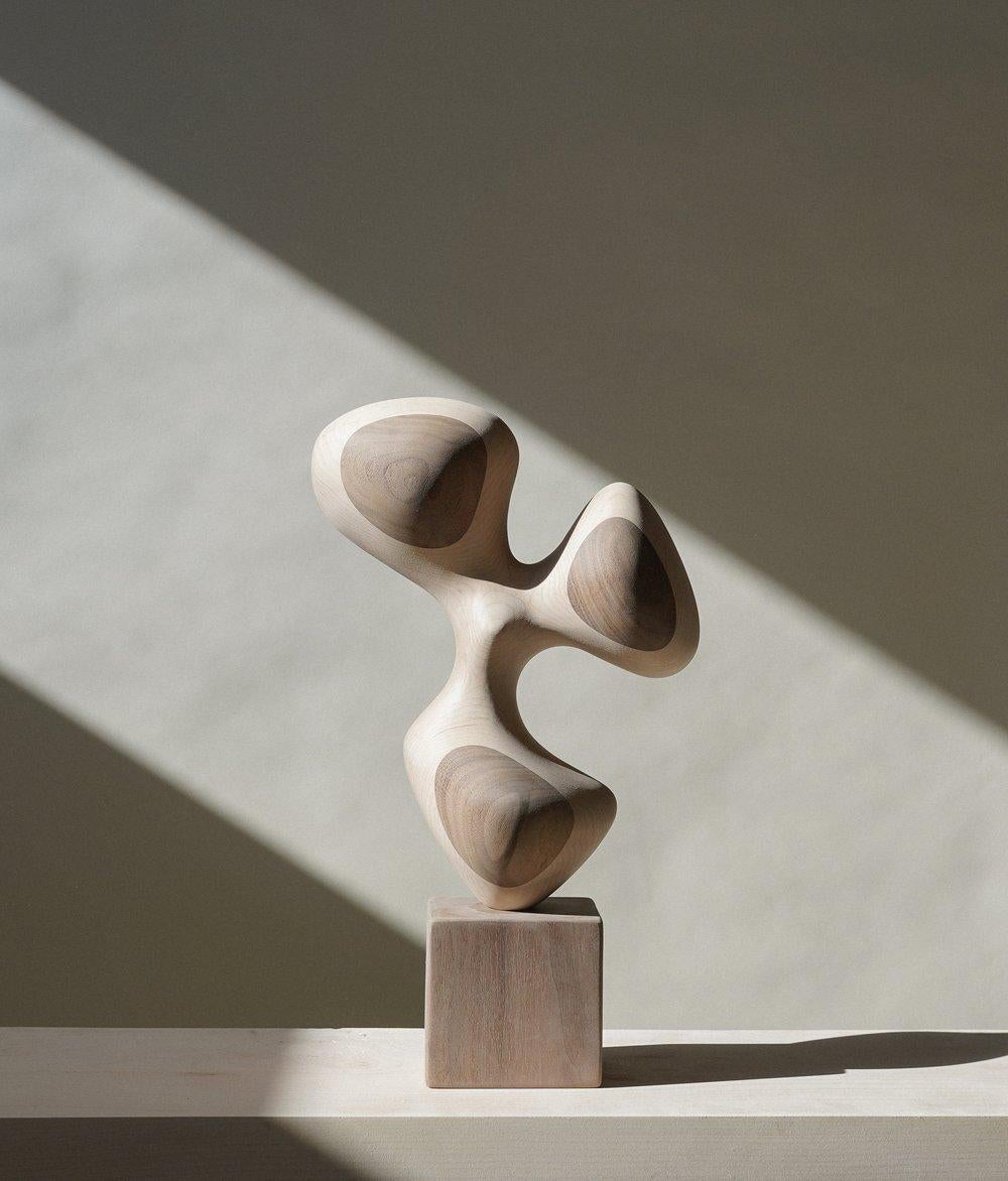 Dove Cover Sculpture by Chandler McLellan
Limited Edition Of 8 Pieces.
Dimensions: D 10.2 x W 22.9 x H 38.1 cm. 
Materials: Hard maple and walnut.

Sculptures will be signed and numbered on the bottom of the base. Please contact us.

Chandler