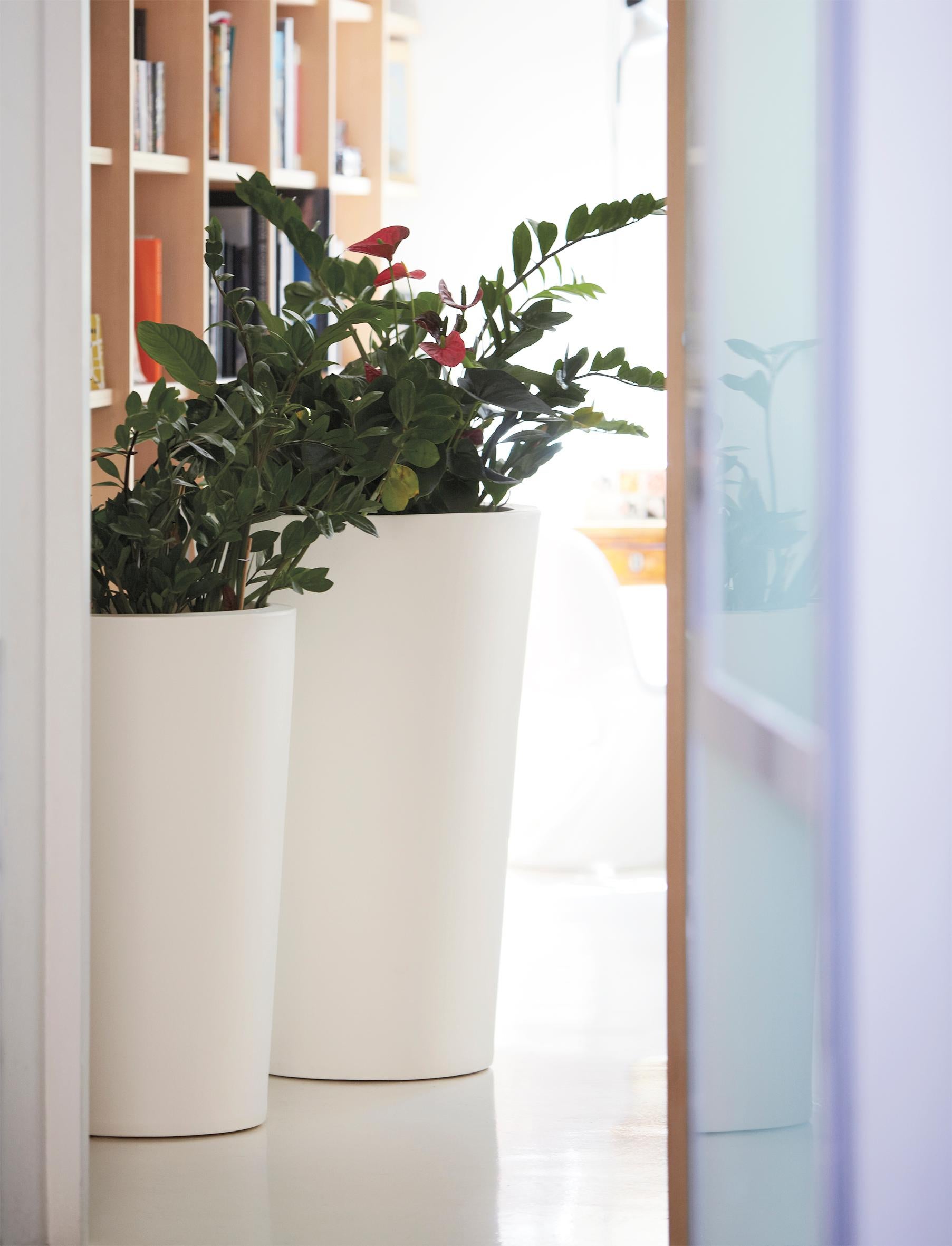 Dove Grey 85 X Pot by SLIDE Studio
Dimensions: Ø 85 x H 120 cm.
Materials: Polyethylene.

Available in different color options. Prices may vary. This product is suitable for indoor and outdoor use. Available in a standard, lighted, or lacquered