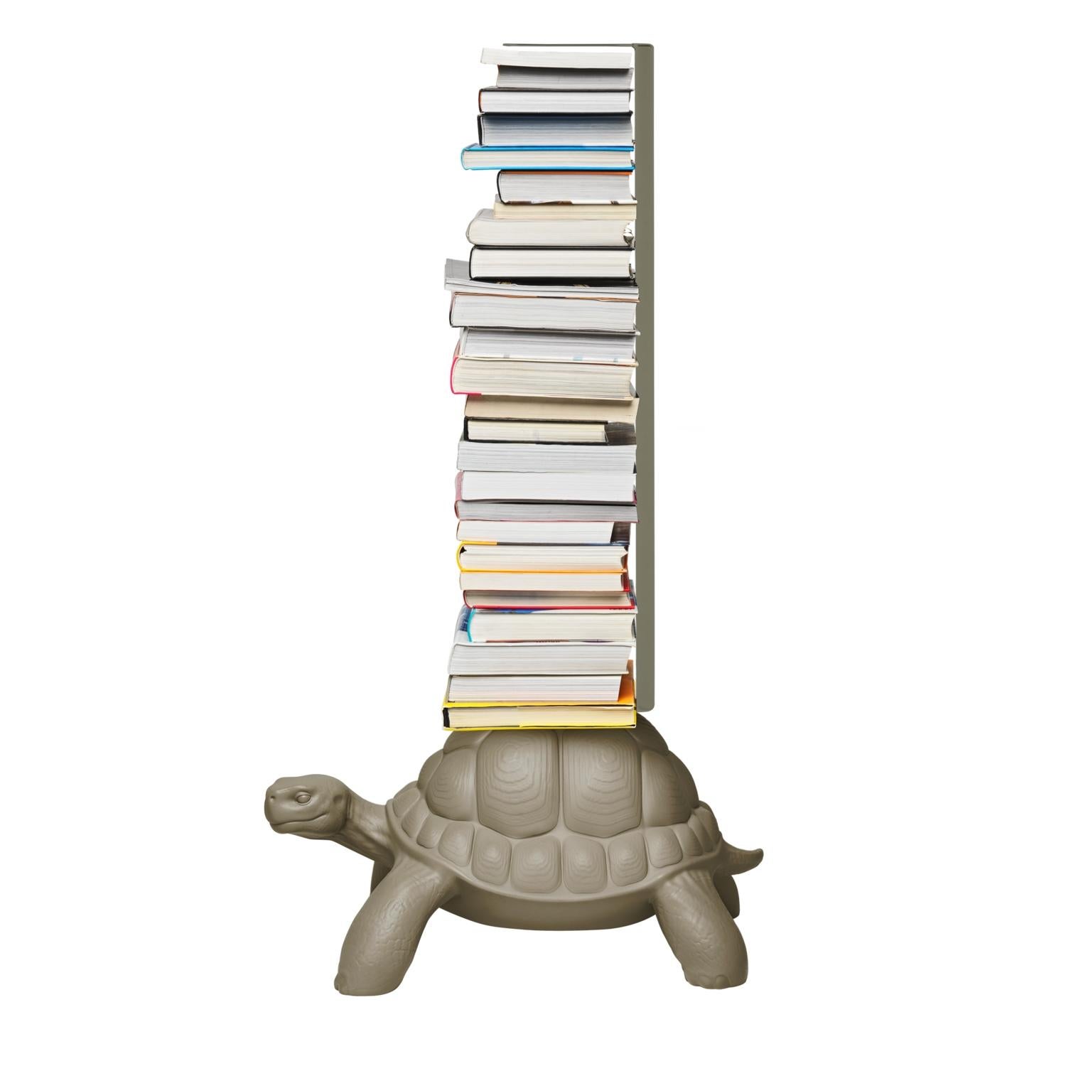 turtle carry bookcase