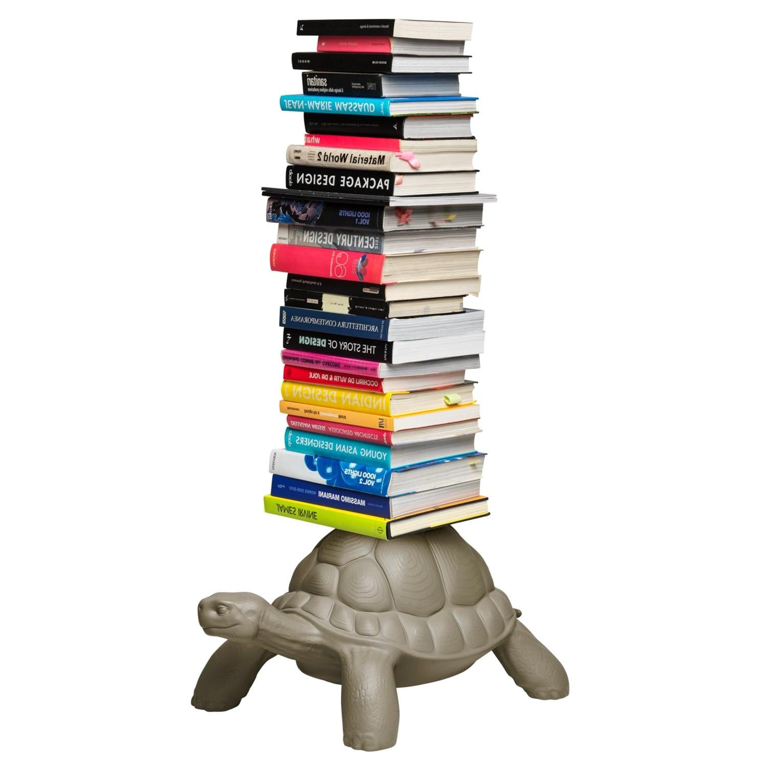 Dove Grey Turtle Bookcase, Designed by Marcantonio, Made in Italy